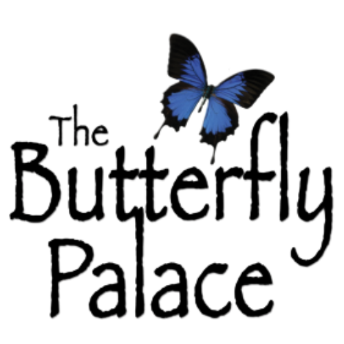 The Butterfly Palace