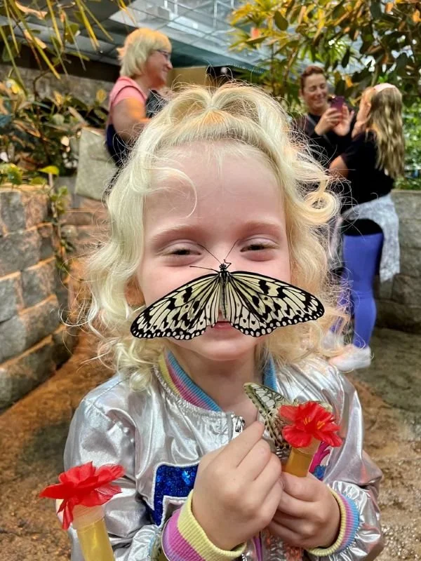 A young girl with curly blonde hair smiling with a large butterfly on her nose and holding a smaller butterfly and artificial flowers, with other people taking photos in the background.