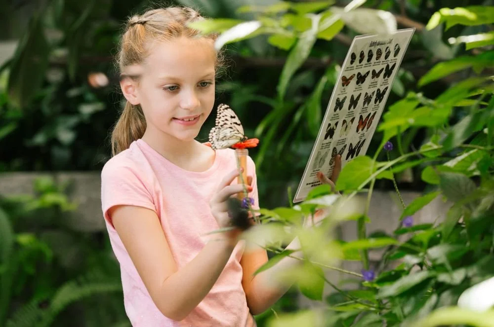 Young girl hoding a nectar feeder with a black and white butterfly on it in one hand and an identification guide in the other