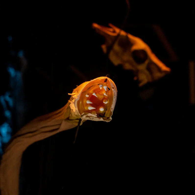 Look out!  This is the FINAL weekend of House of the Exquisite Corpse. Squirmy Wiggler (pictured) wants to see you this Thursday, Friday, and Saturday.  Yes - he bites. Tickets are still pay-what-you-want so reserve them today!  Cash accepted at the 