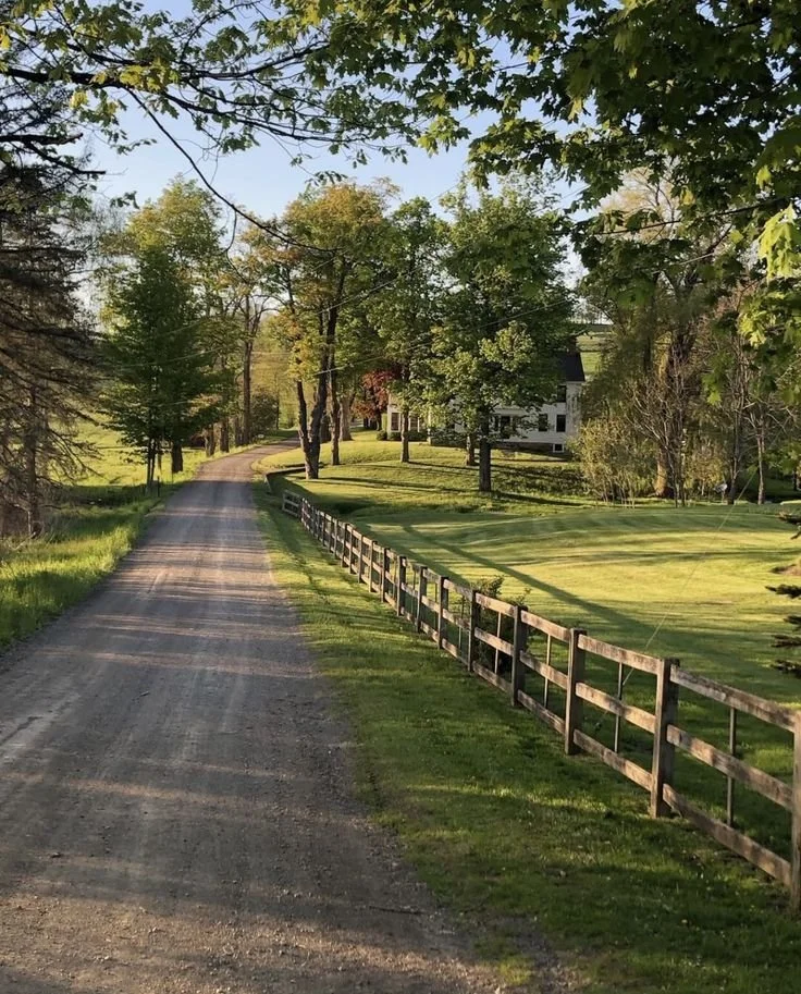 From Summer to Fall: Reset, Refocus, and Romanticize Life