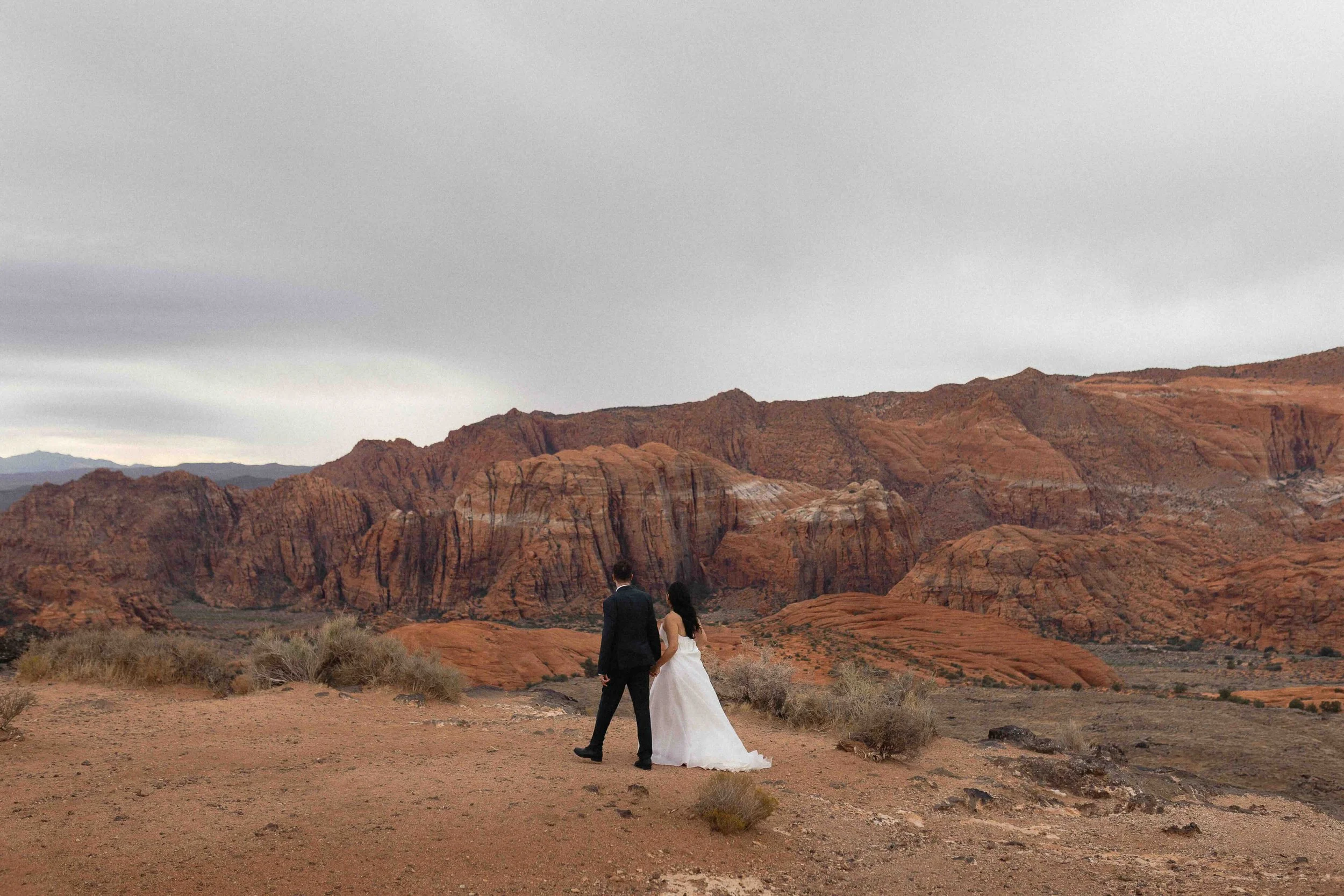 A bride and groom overlooking petrified dunes in southern utah.