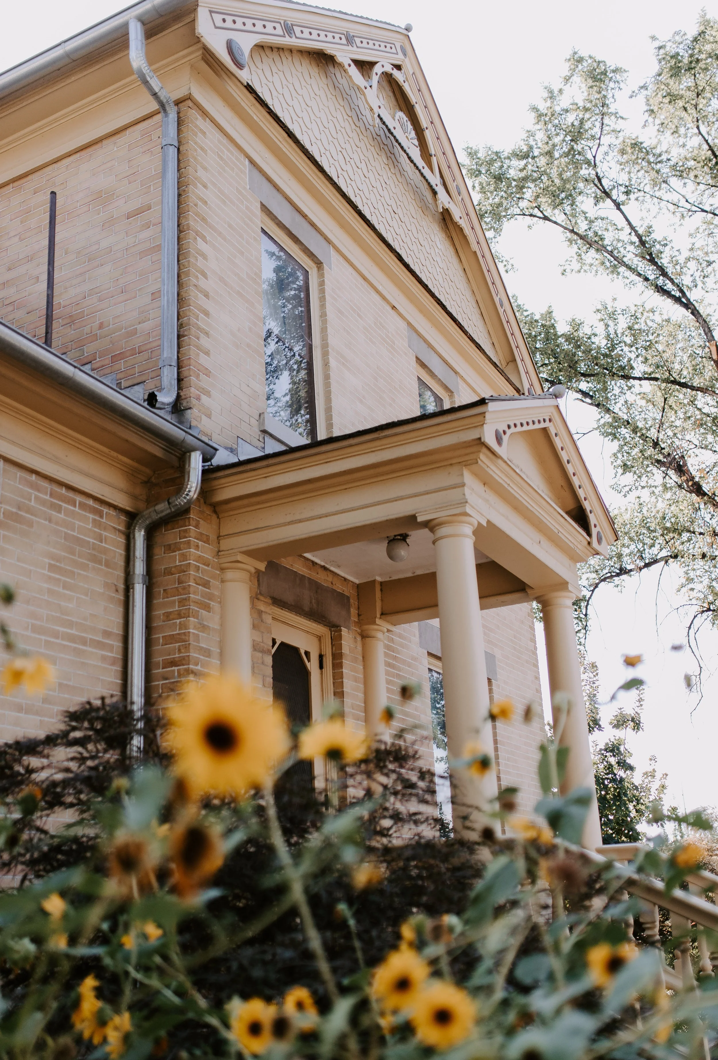 Front of old brick building with sunflowers in front of it