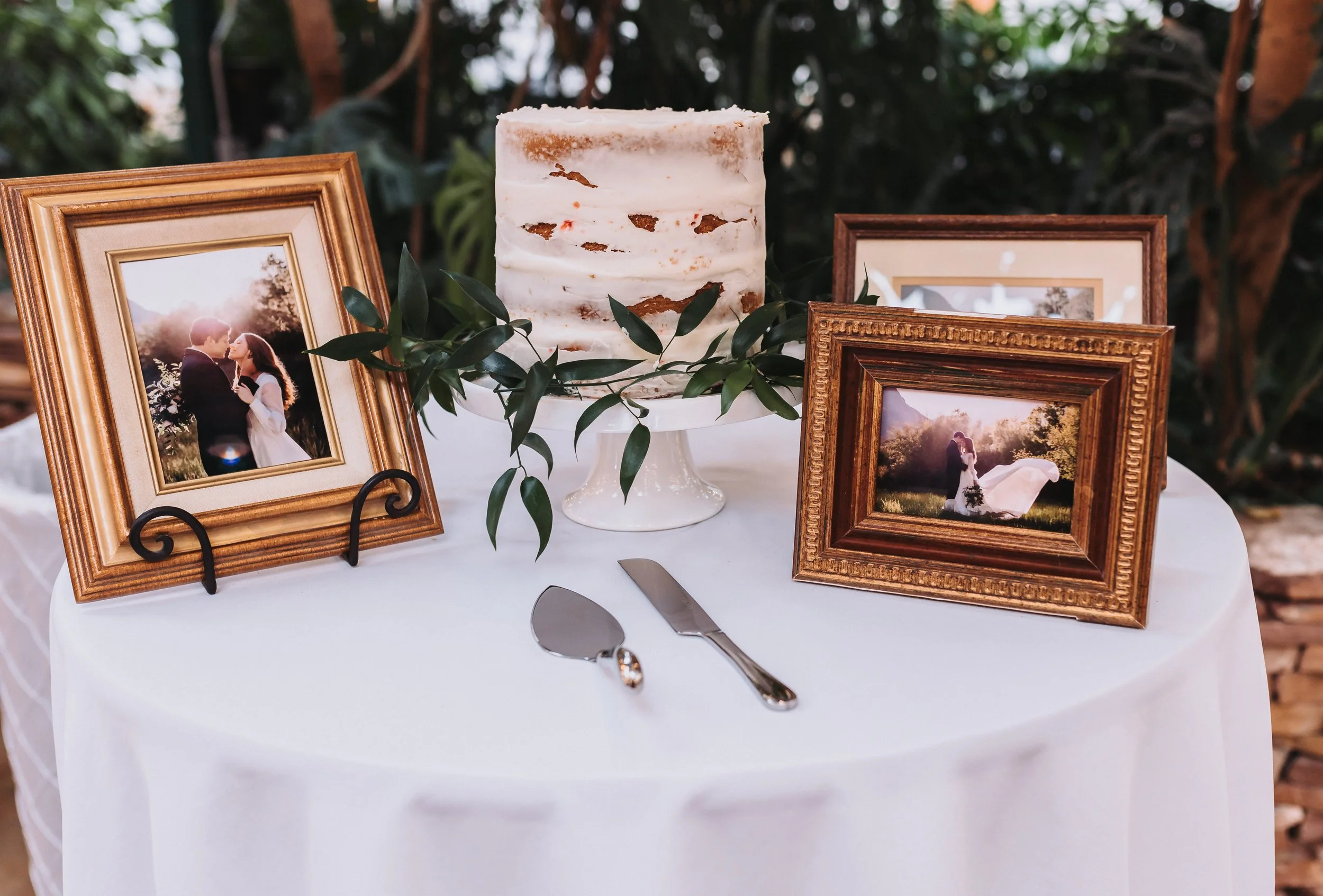 White cake with greenery around it, framed pictures of couple surrounding it