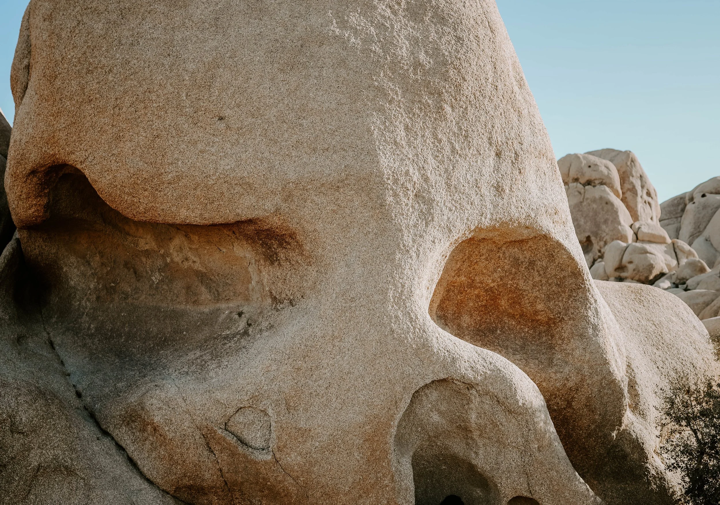 Skull rock in Joshua tree