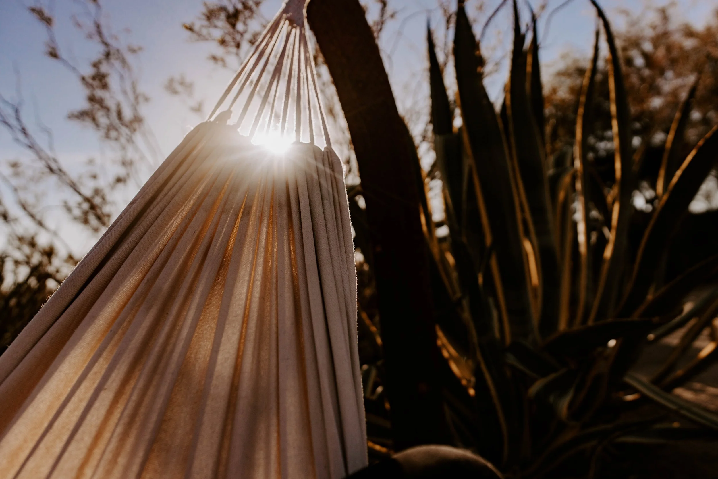 hammock with the sun shining through it and desert plants surrounding it