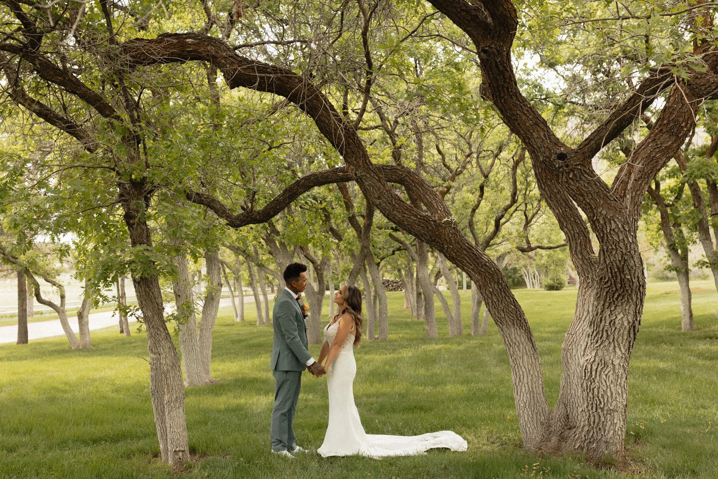 Bride and groom standing in front of trees with green grass