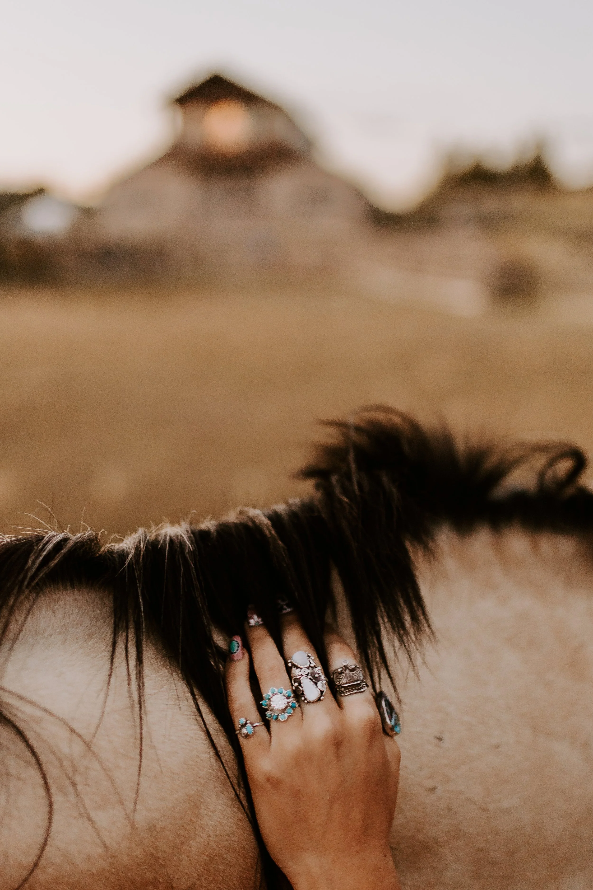 Hand with turquoise rings petting horse
