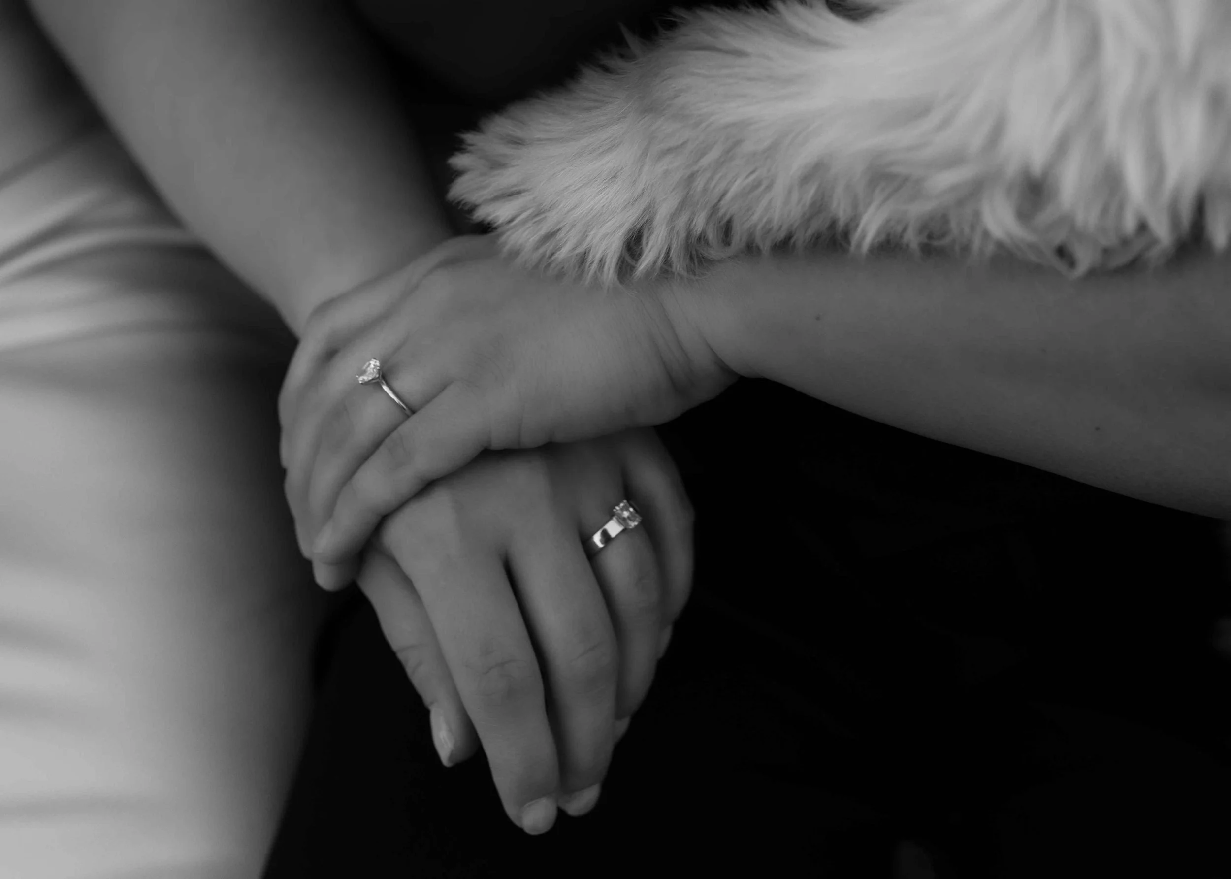 Hands touching dog paws