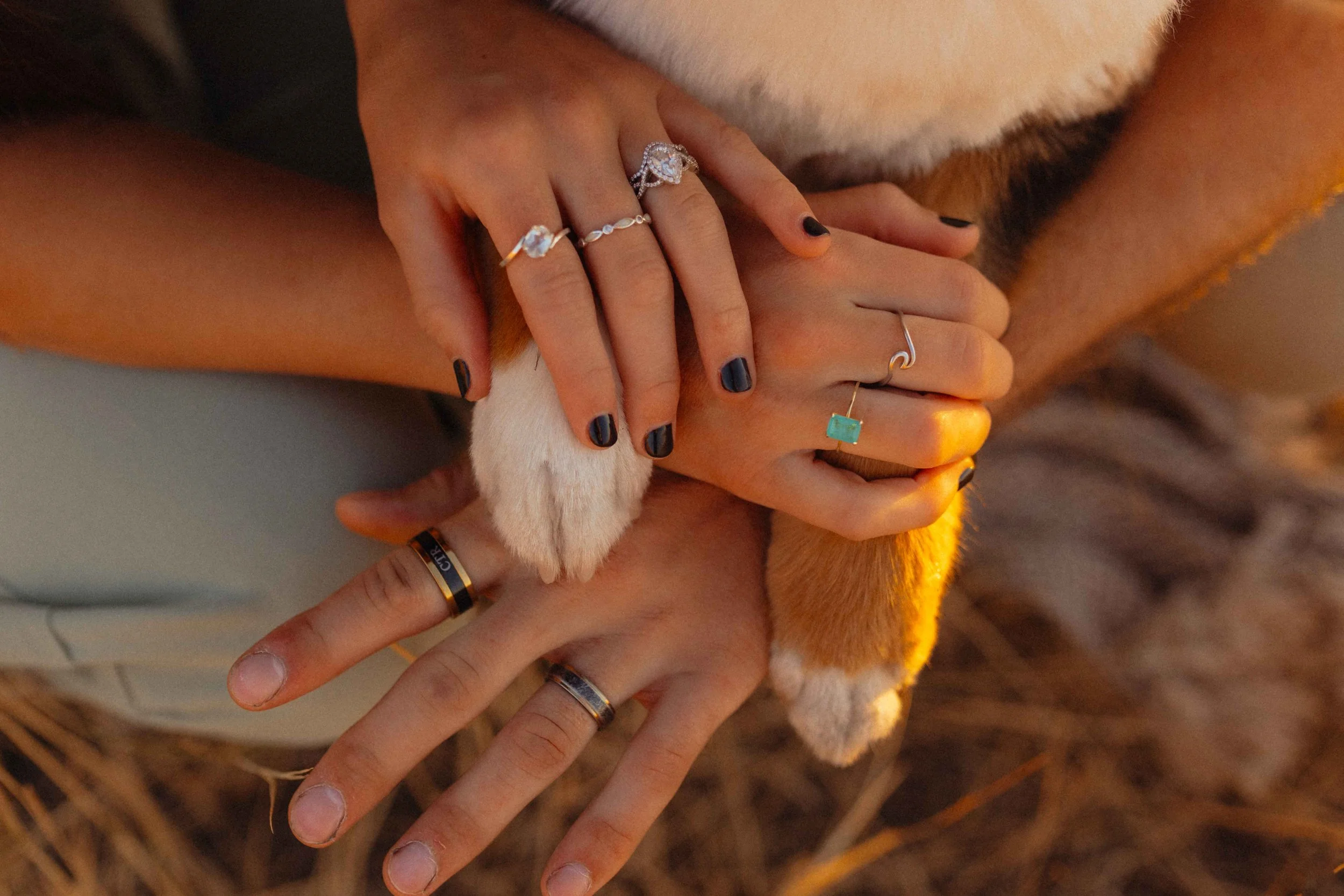 Hands touching dog paws