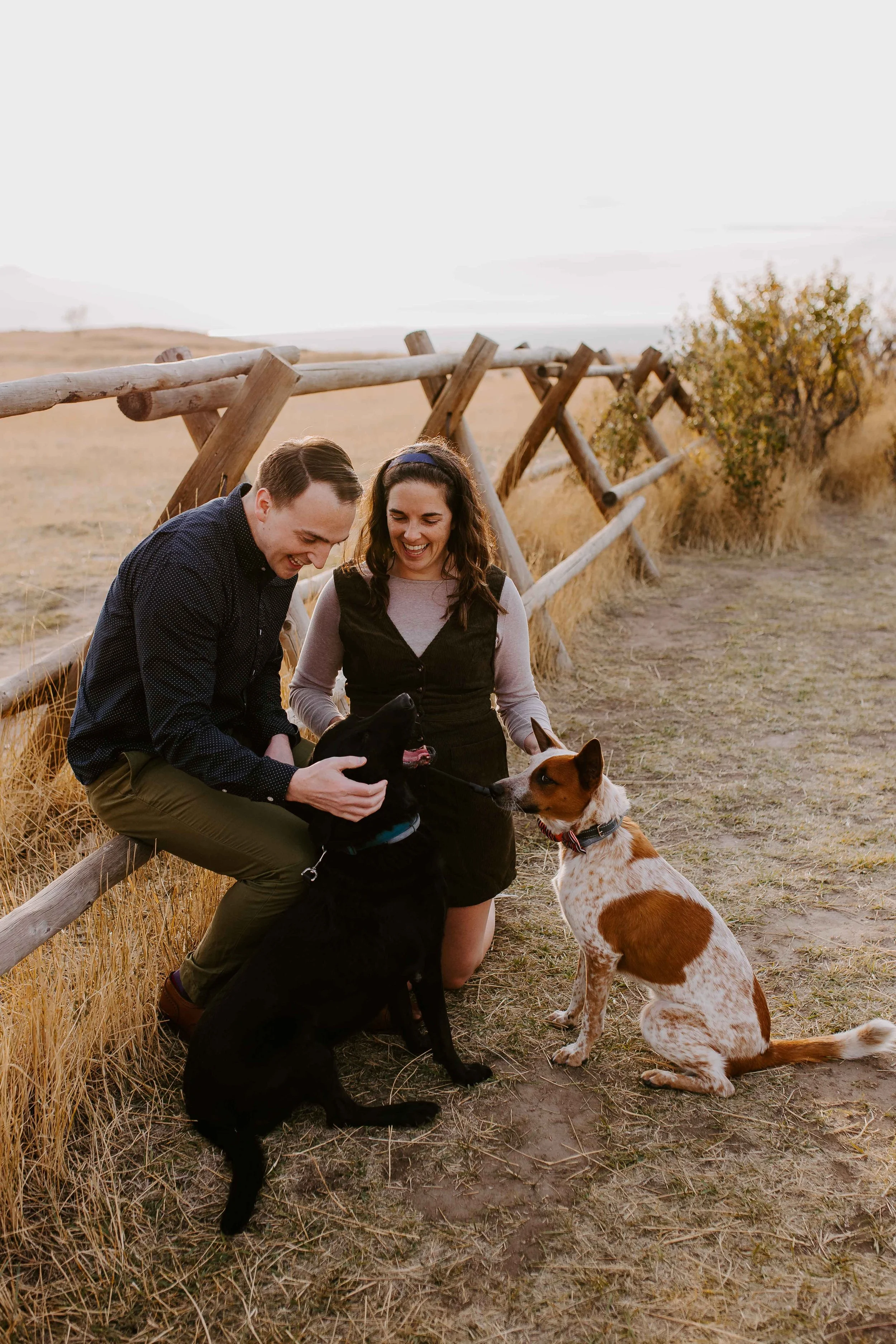 Couple sitting on fence petting dogs