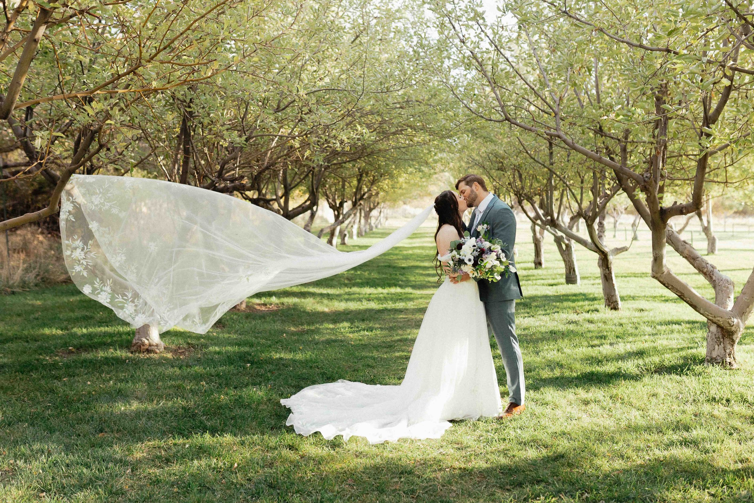 A Quiet Meadow Farm Wedding: The Love Story of Josh and Cassidy