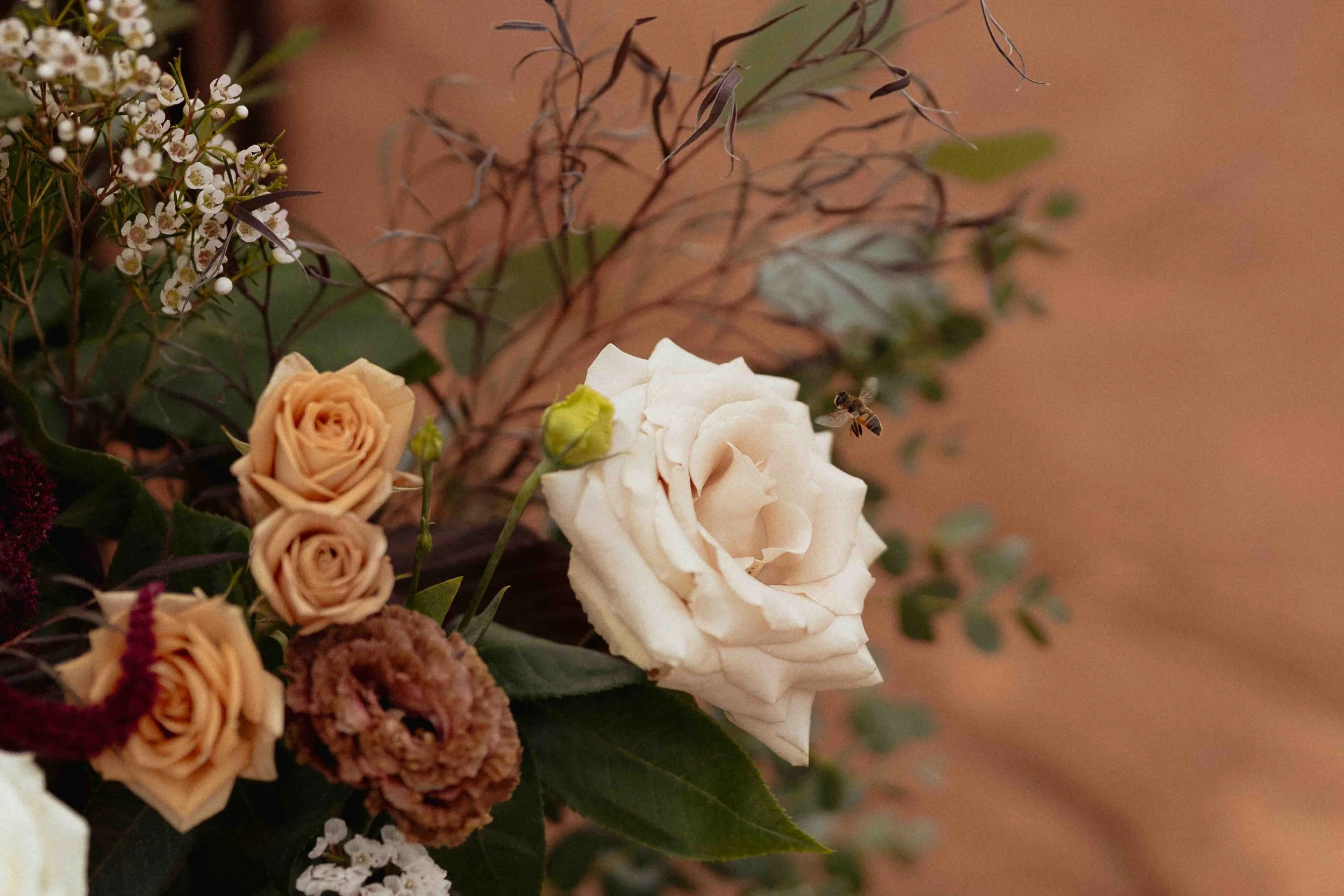utah-wedding-photographer.jpeg