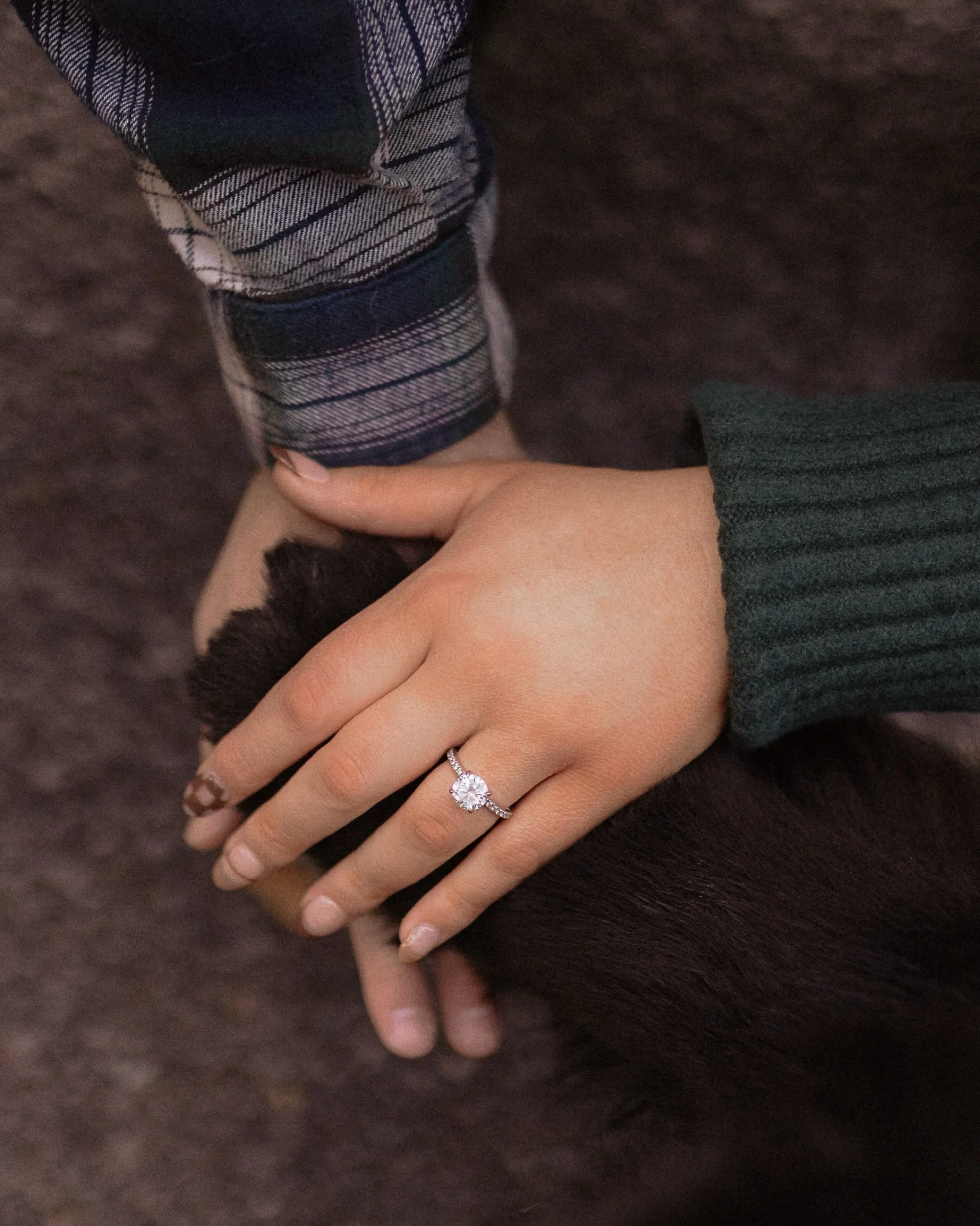 Must love dogs! 🐾 

#utahengagementphotographer #utahcouplesphotographer #utahcouplesphotography