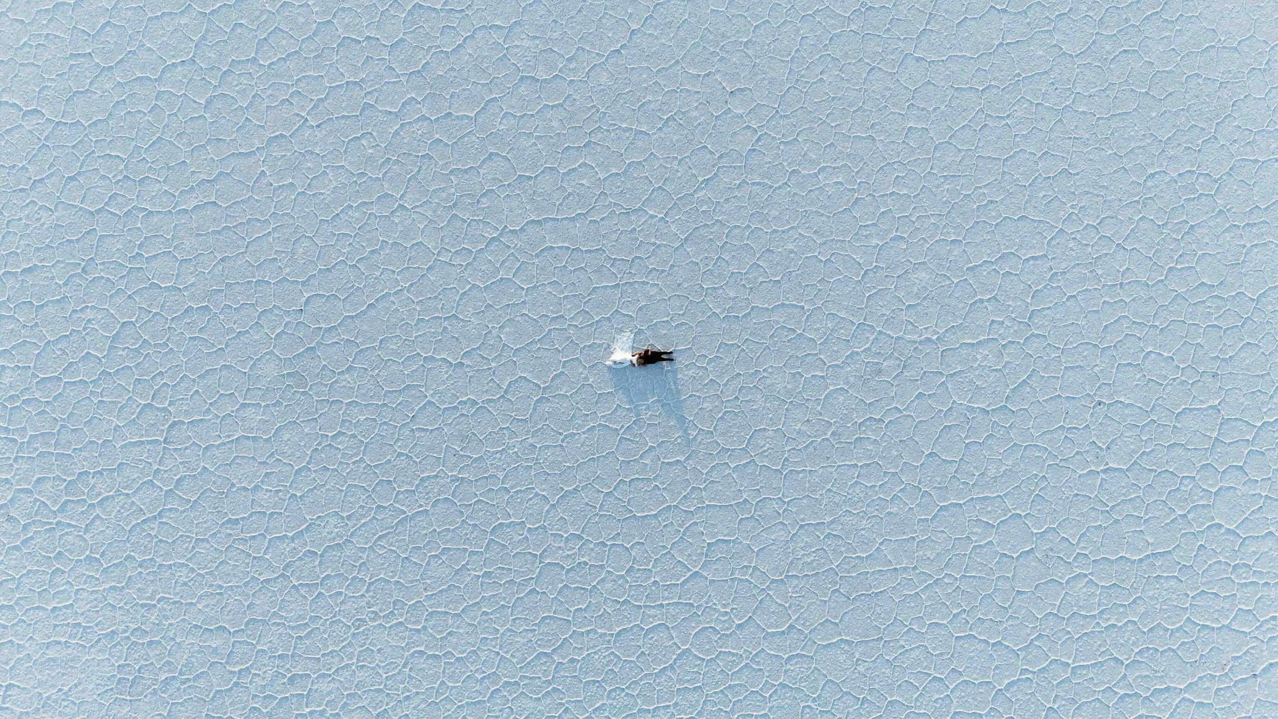 Aerial shot of a bride and groom laying down on the Bonneville slat flats.