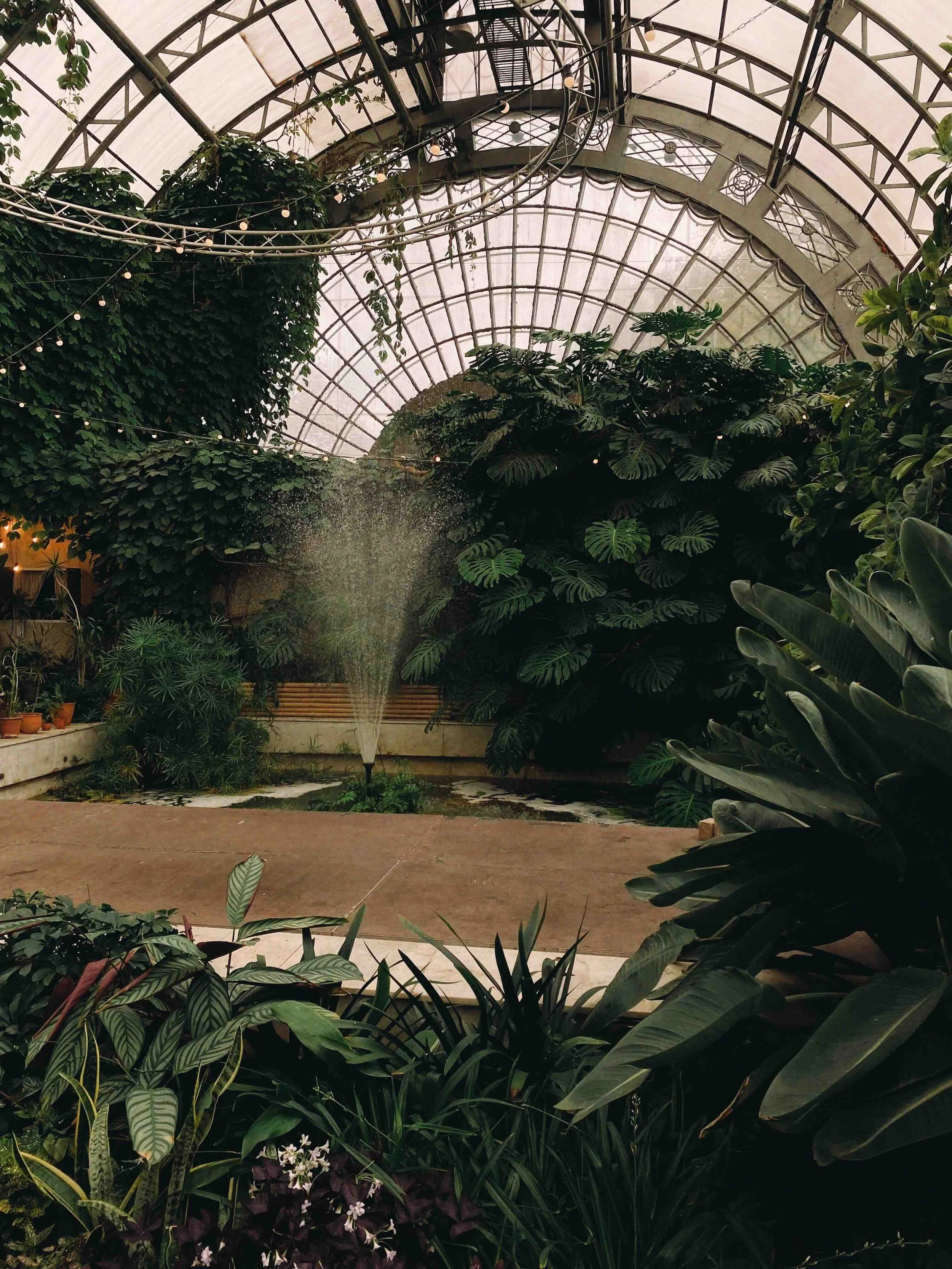 A greenhouse full of greenery and a water fountain.