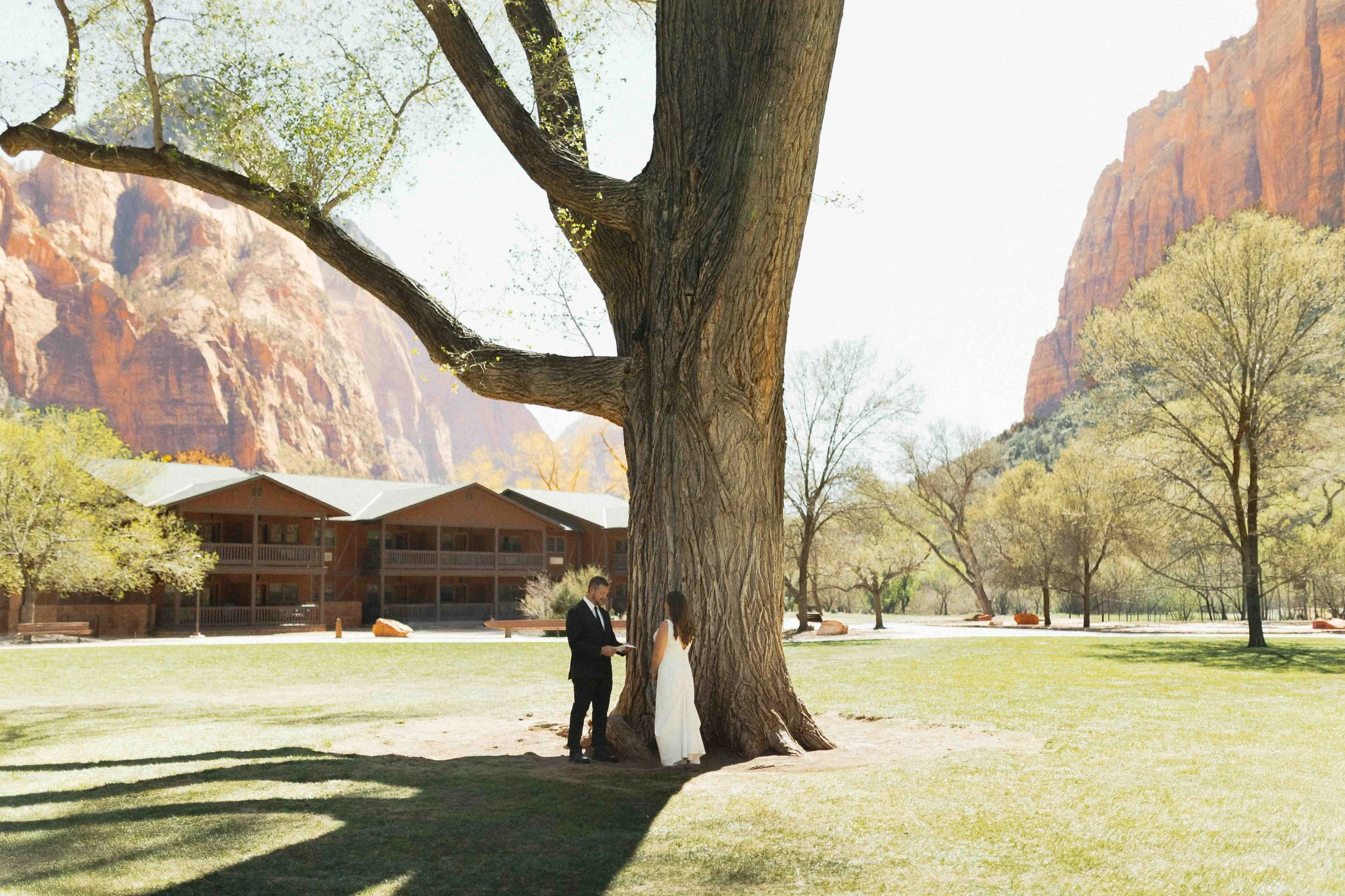 Couple marrying in front of a big tree in front of the lawn at Zion National Park.