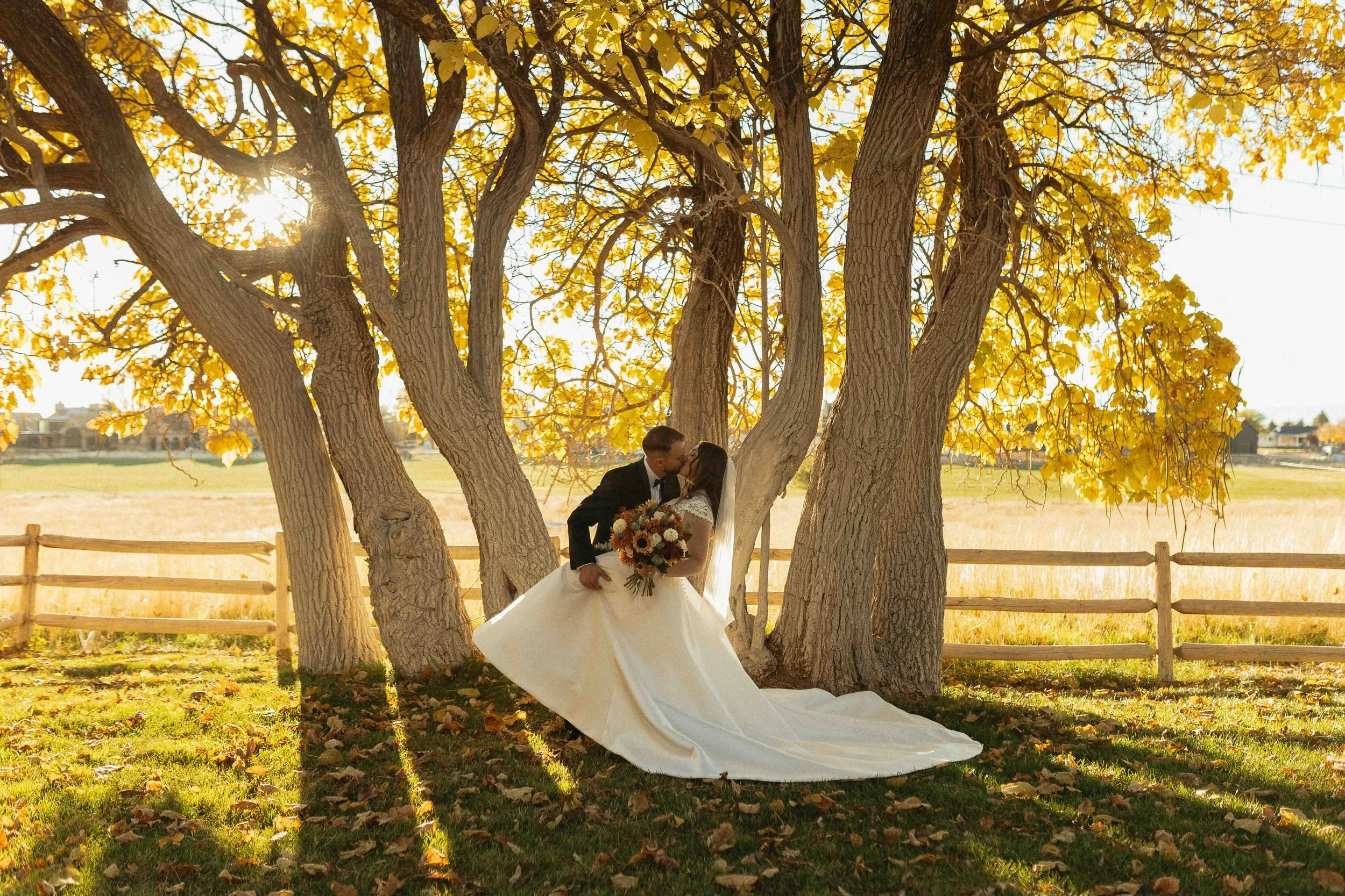 Bride and groom kissing in front of a tree with the sun streaming through it.