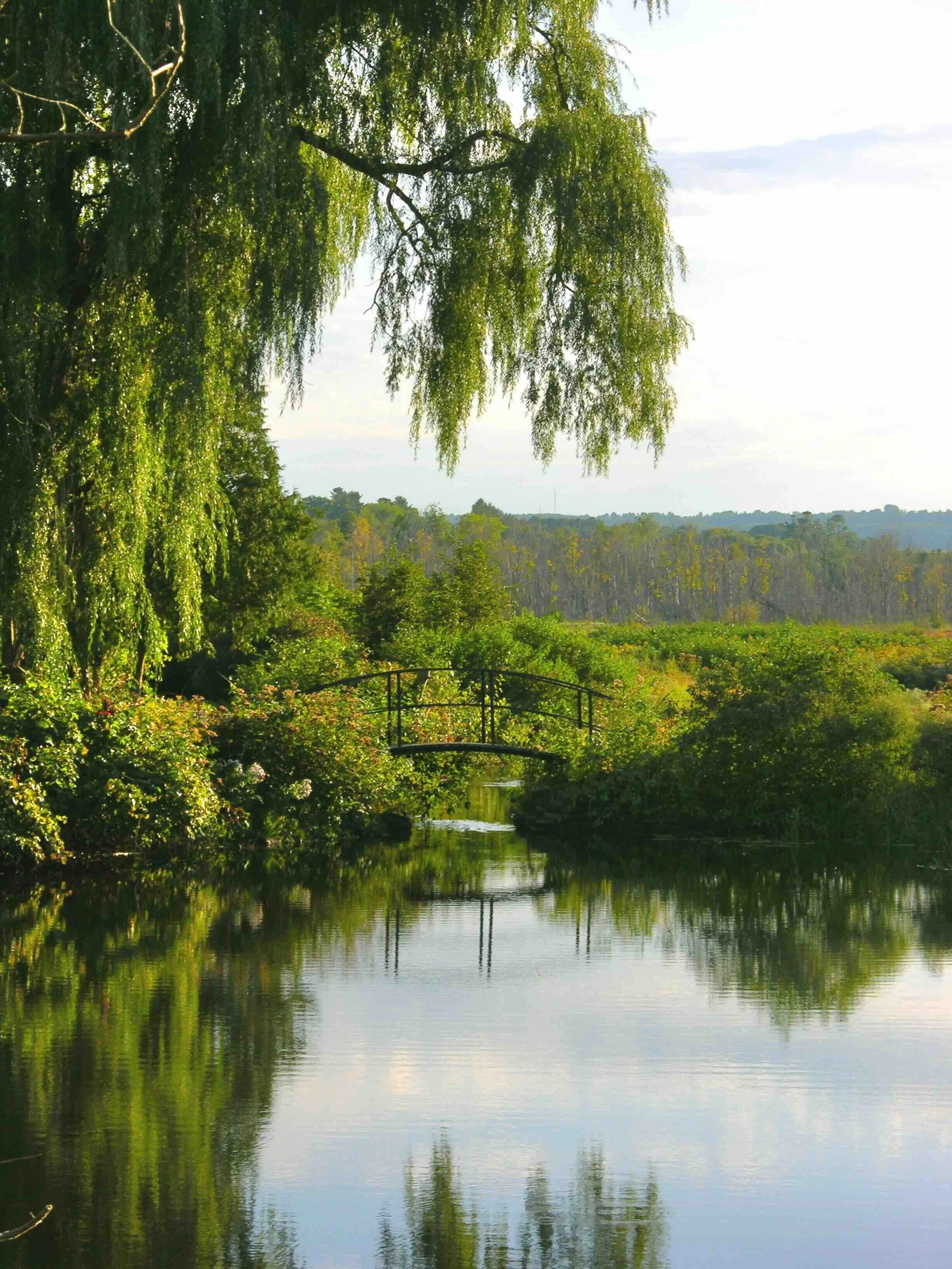 A bridge over water with greenery and trees in the background.
