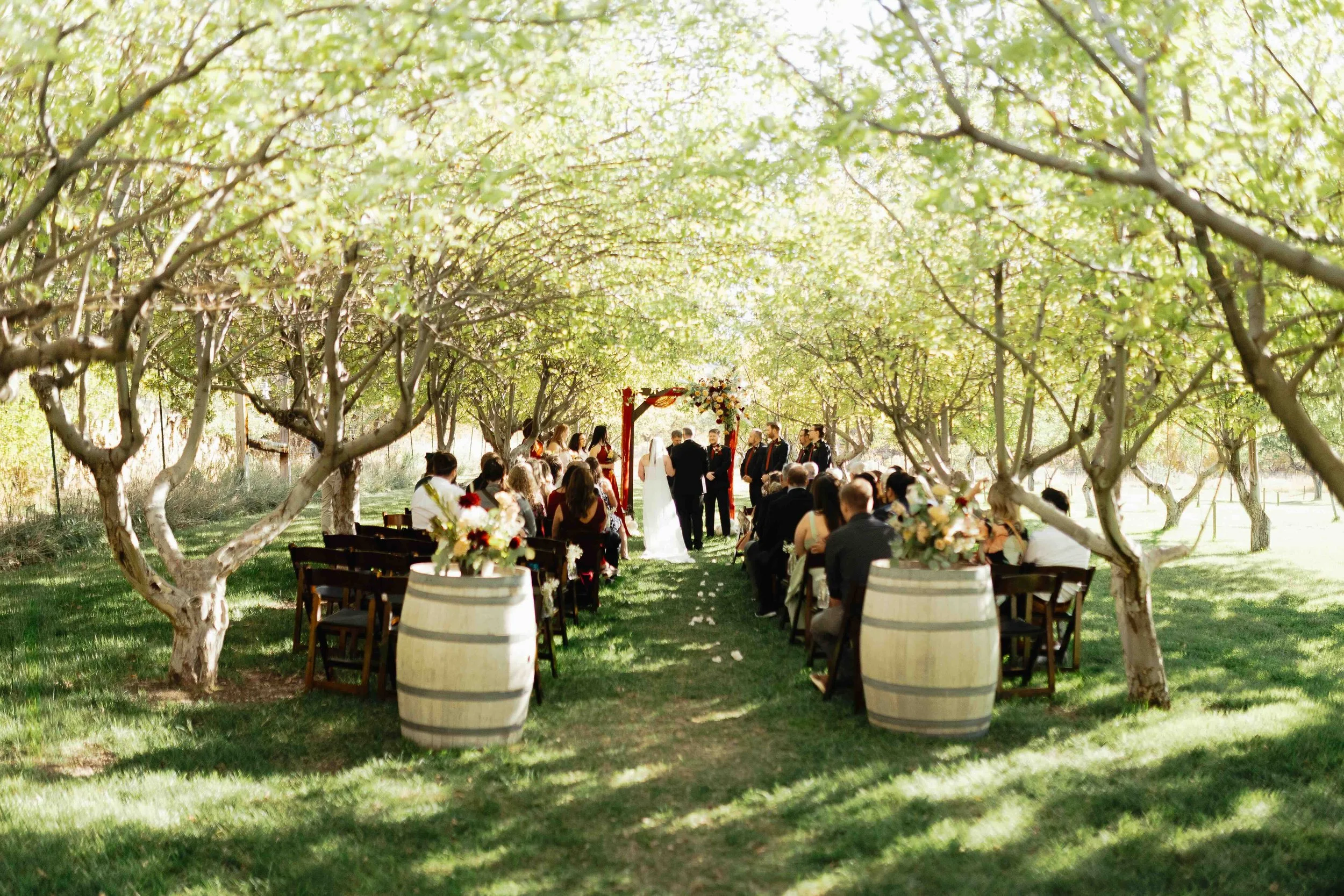 A wedding ceremony in an orchard with wedding guests in chairs.
