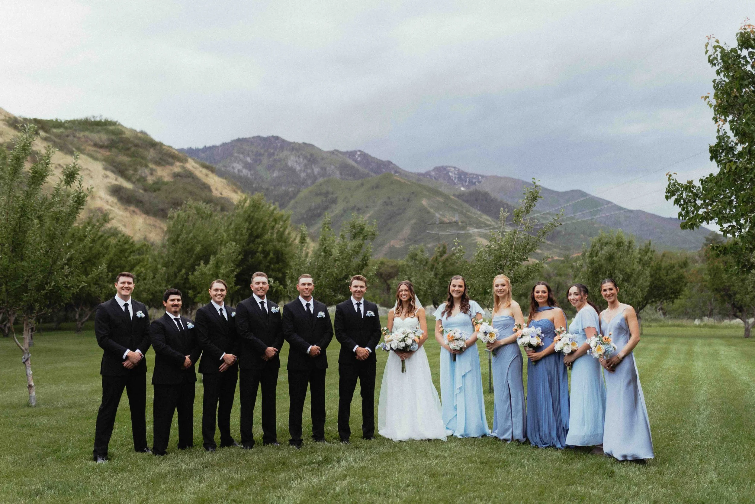 Bridesmaids, groomsmen, bride and groom, lined up for a formal photo in front of the mountains.