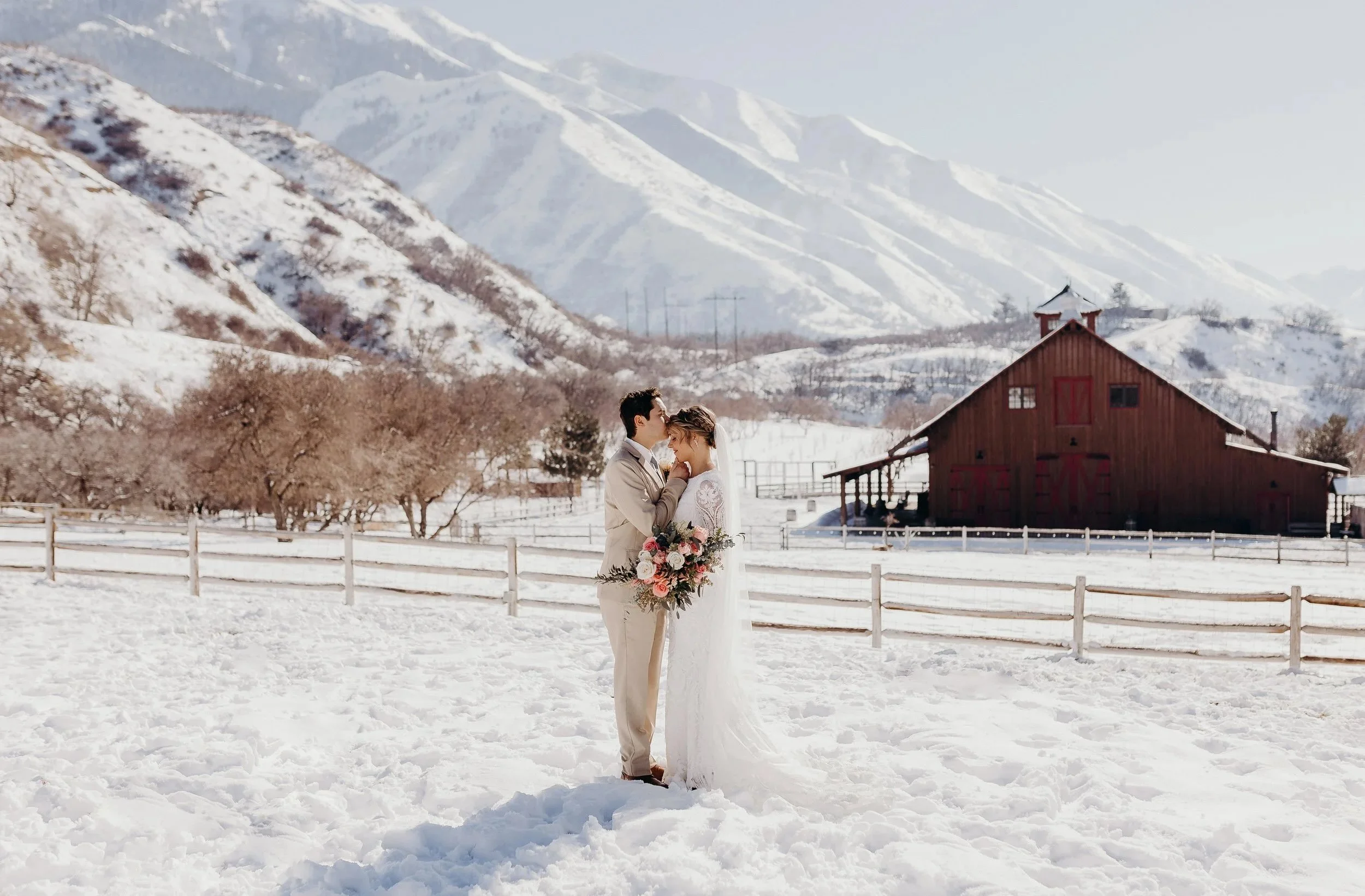 a groom kissing a bride on the forehead in front of a rustic barn and snowy mountain view.