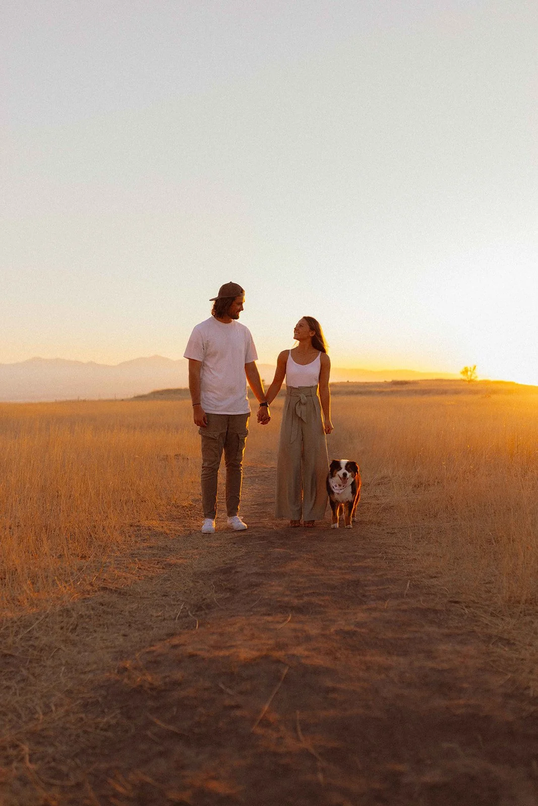 A couple and their dog walking hand in hand during sunset in a field.