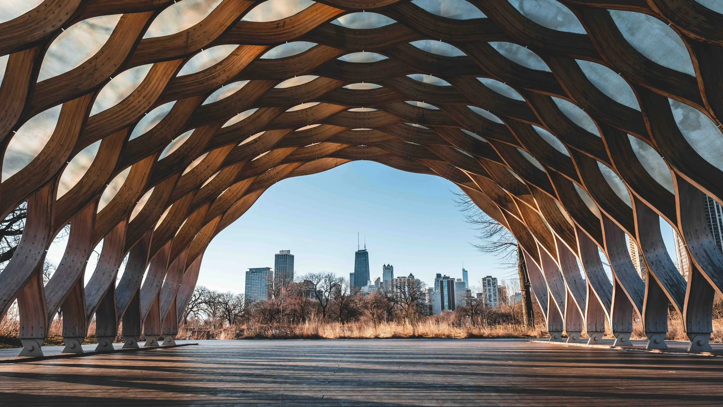 A honeycomb structure with the Chicago skyline in the background.