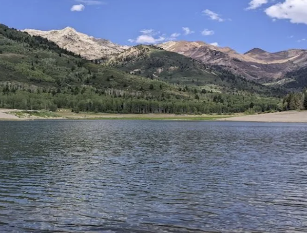 Lake in front of trees and mountains with blue skies.
