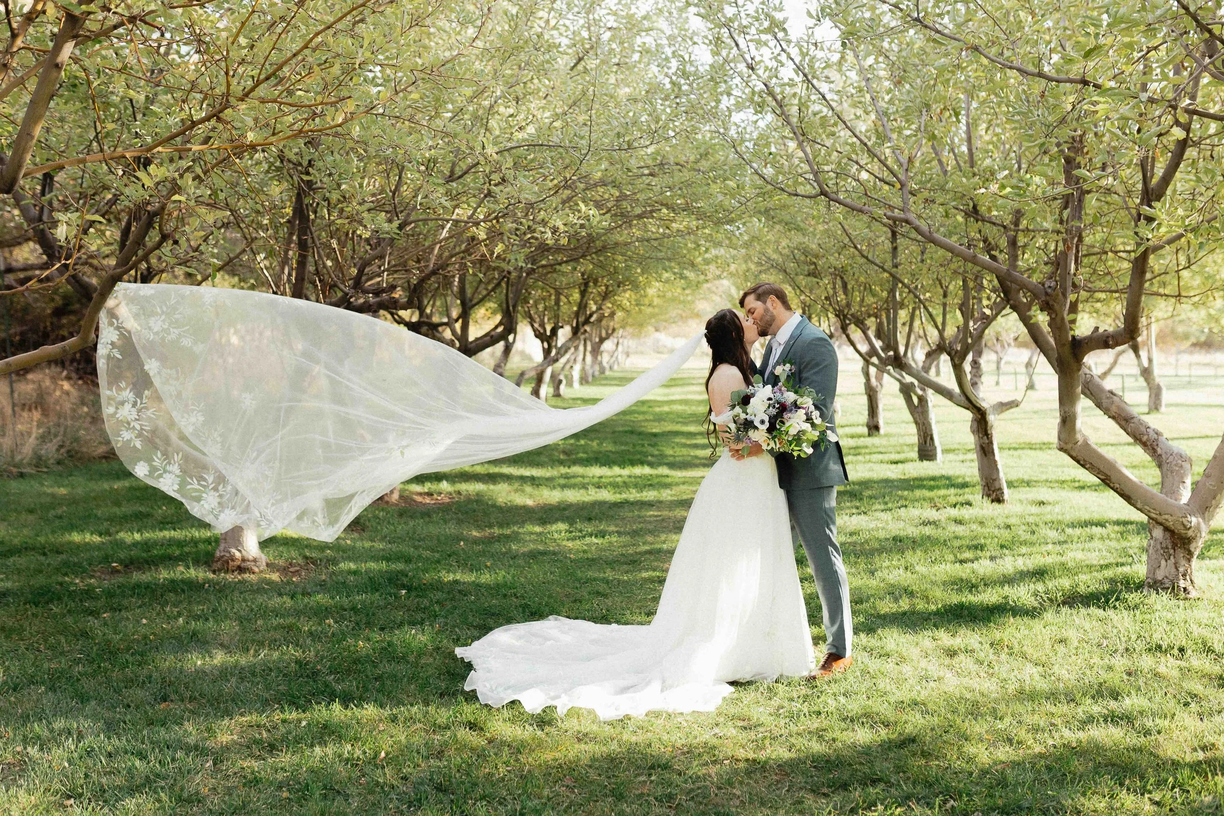 Bride and groom kissing in front of orchard with the veil being picked up by the wind.