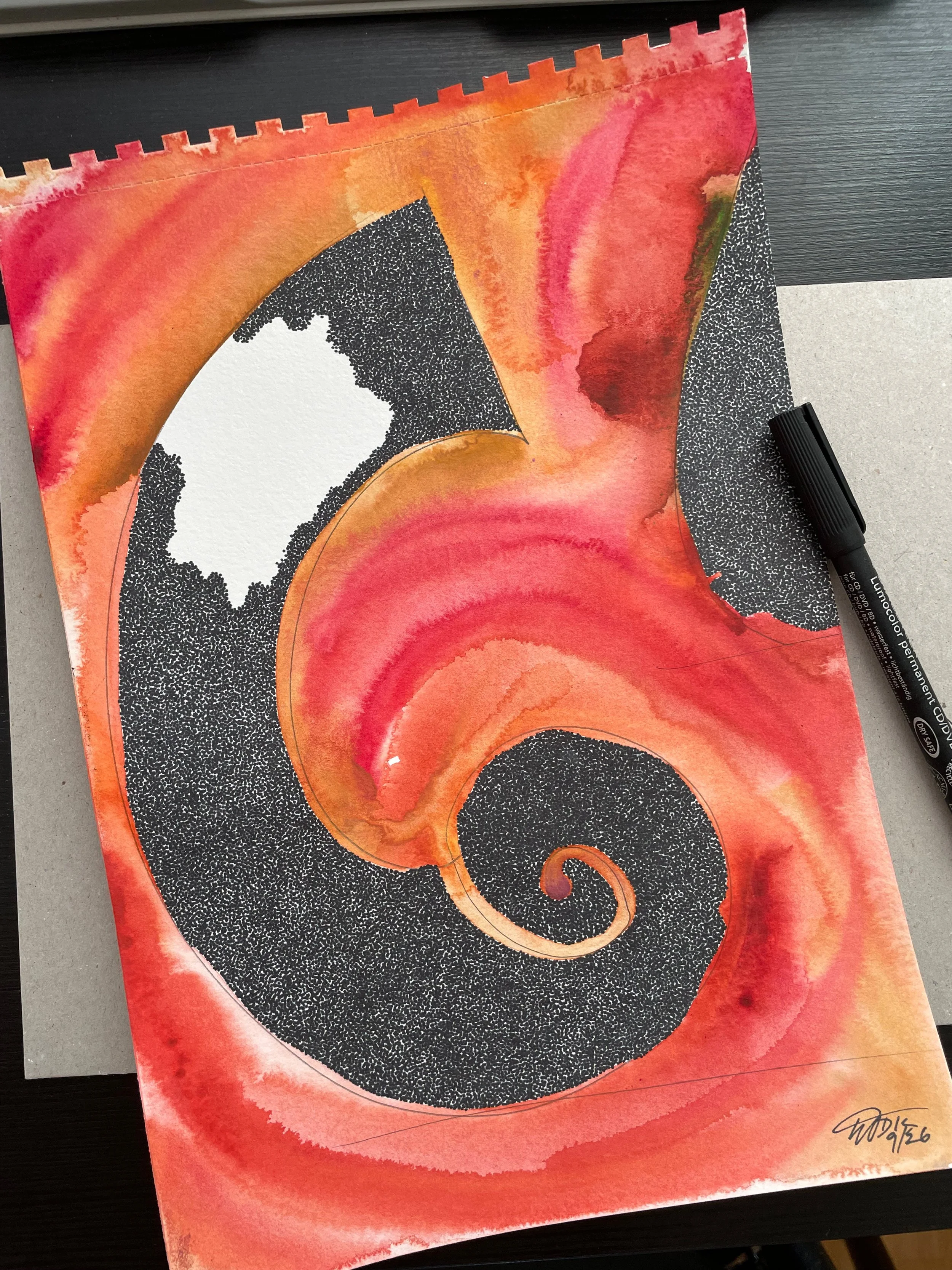 water colour with ink nautilus