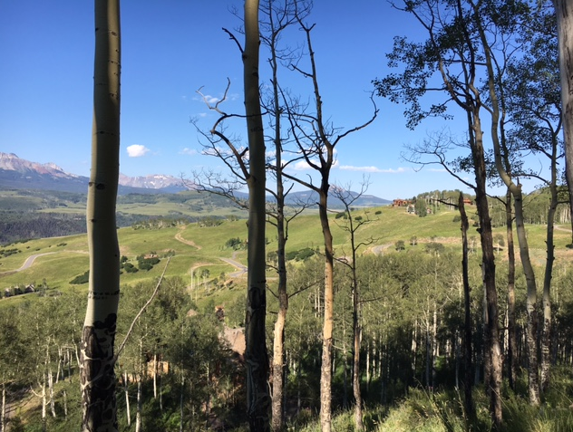 TELLURIDE