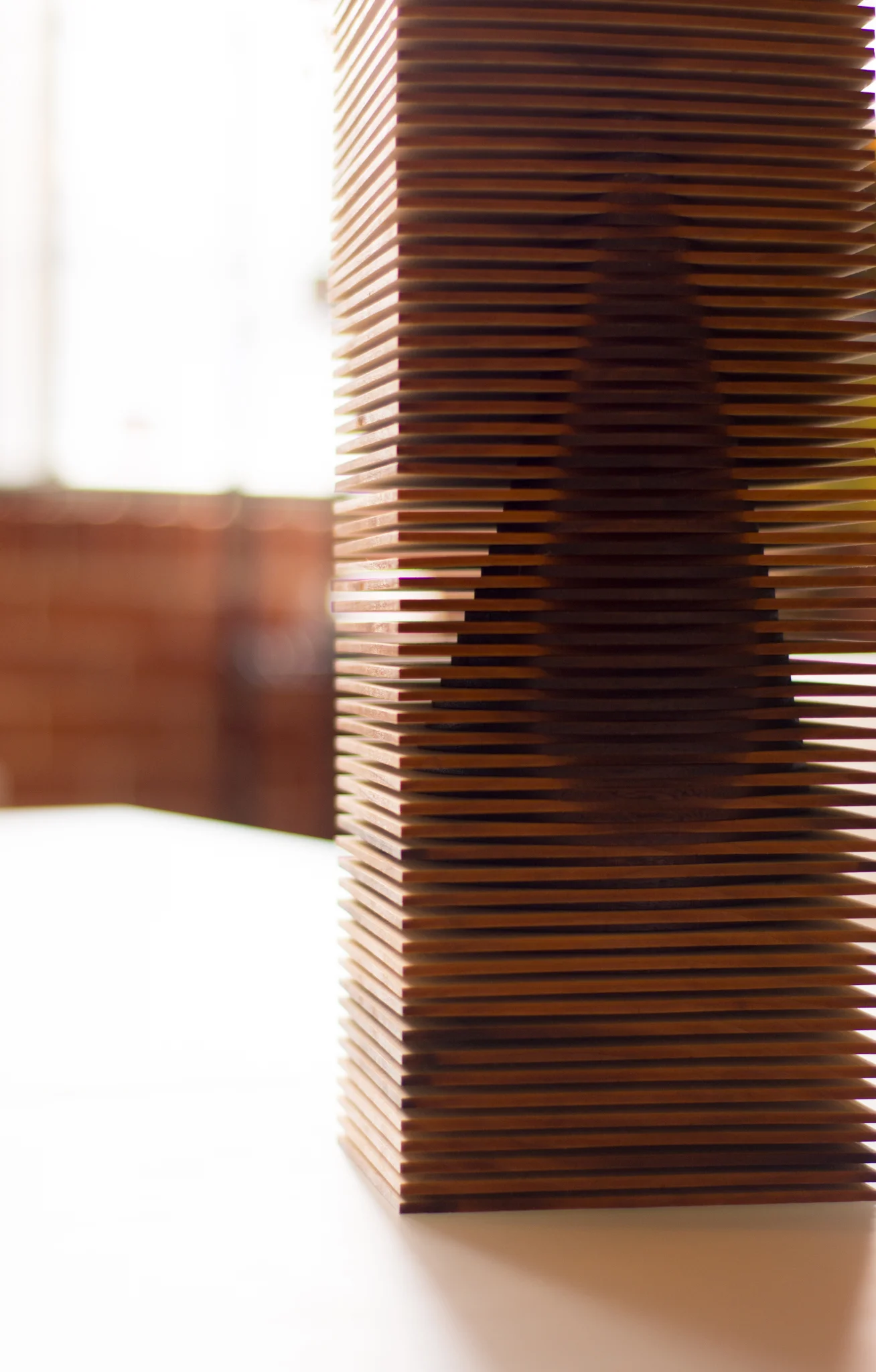 DYNAMIC TRANSPARENCY