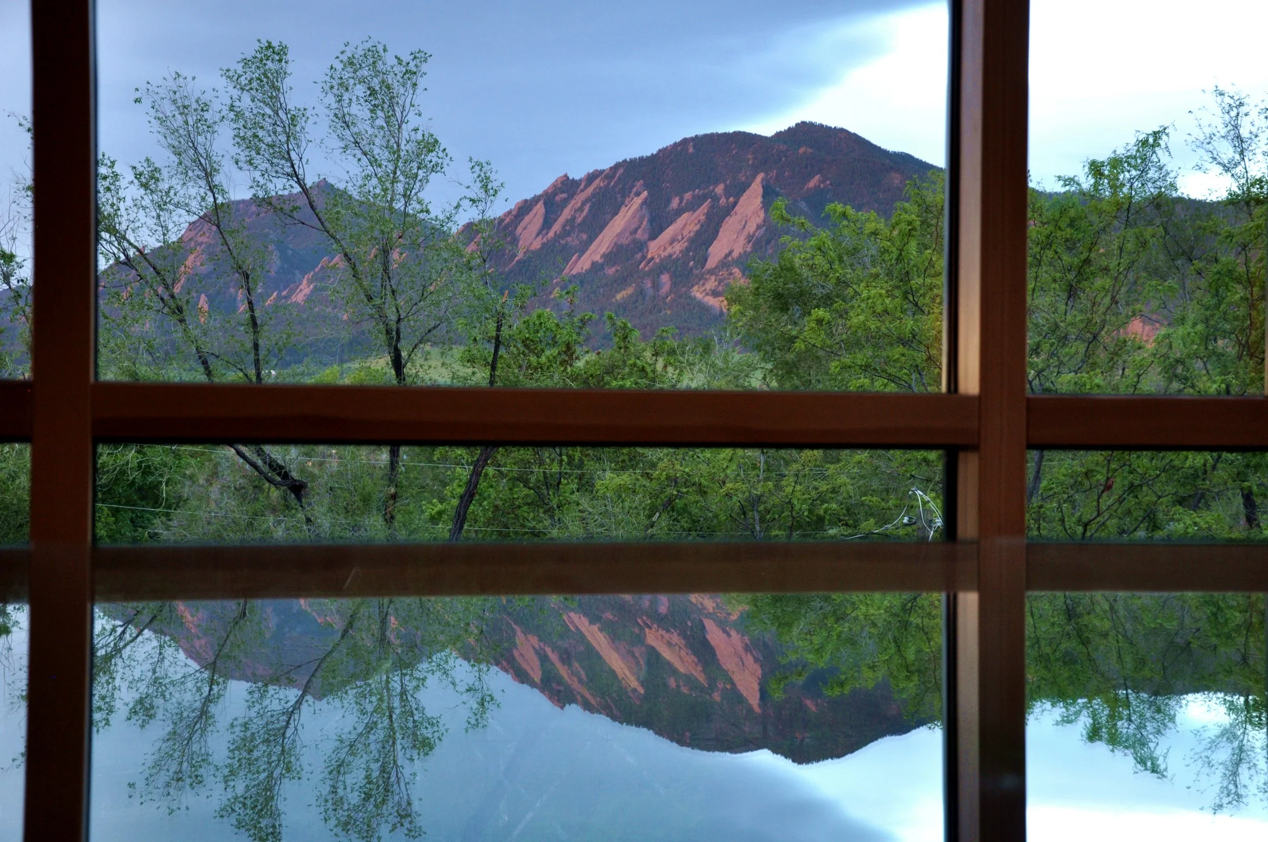Dining Table Reflection 2.jpg