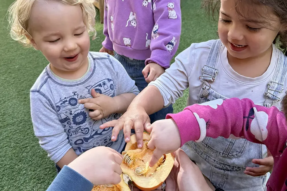 pmccp-students-explore-a-pumkin-3.webp