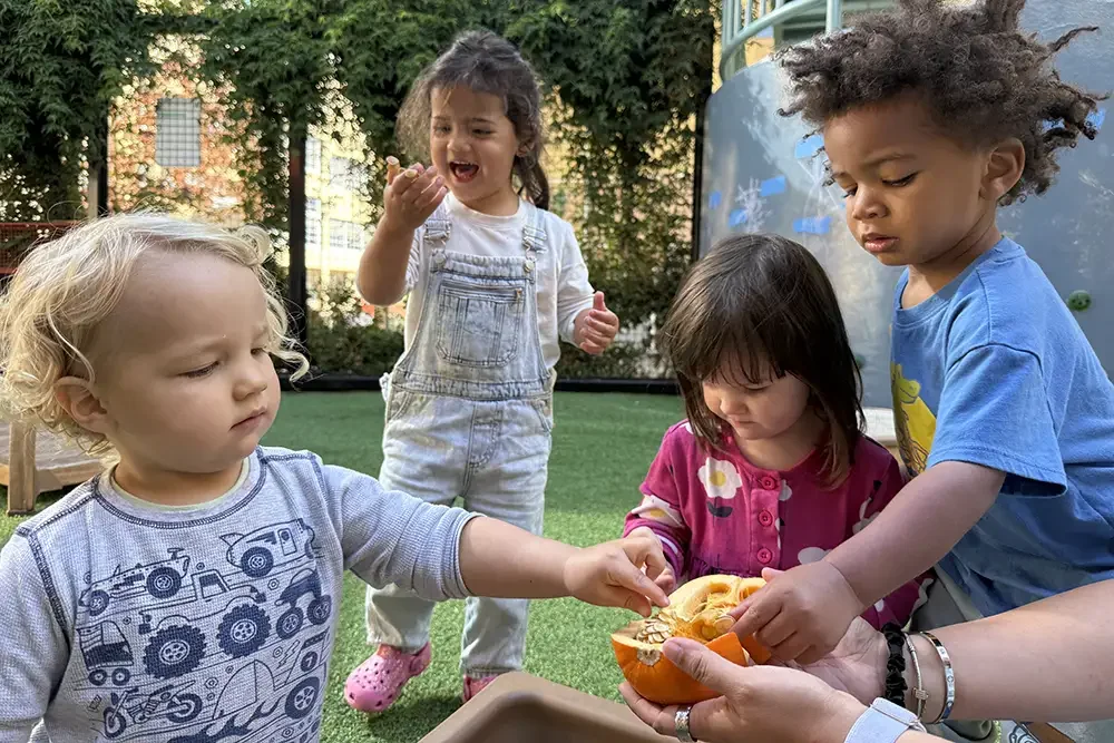pmccp-students-explore-a-pumkin-4.webp