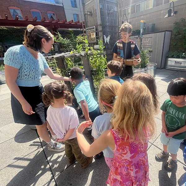 Students line up to plant seeds during a gardening lesson