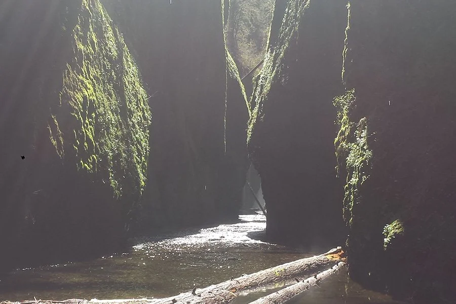 Sun shining on a creek running through mossy rocks