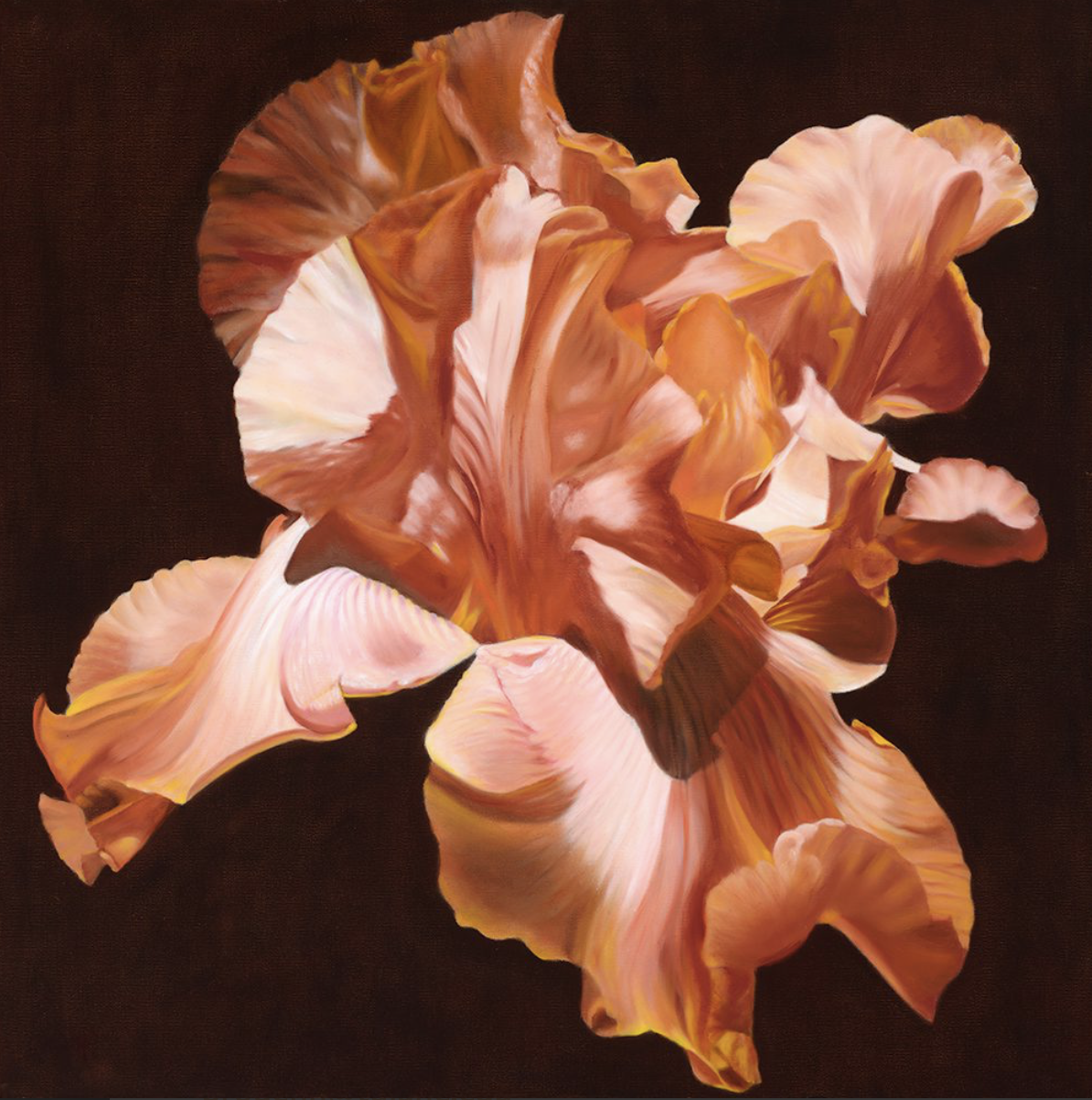 Guest Artist: Paul Rodenhauser