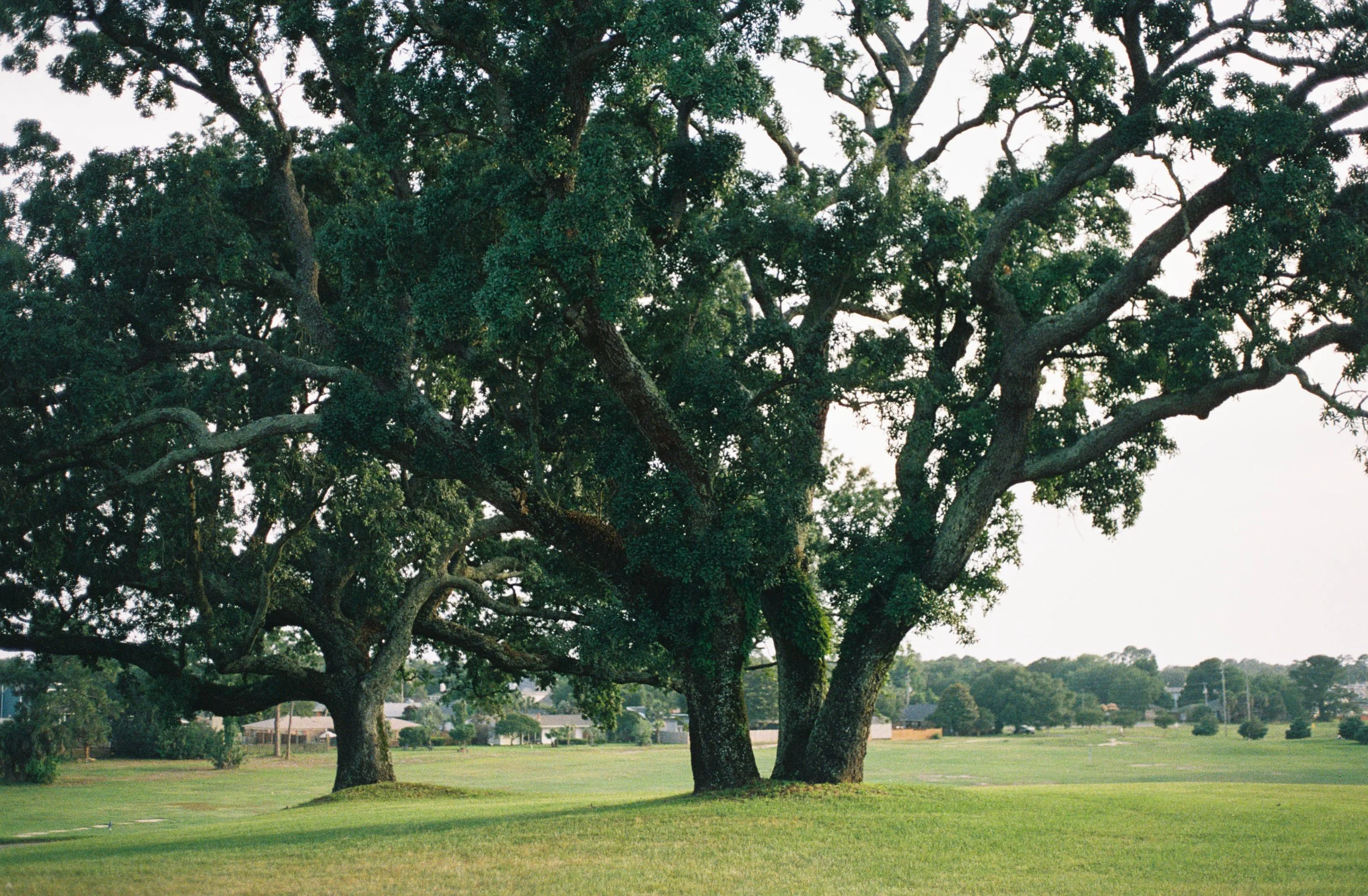 Angeli+Ben-30.jpg