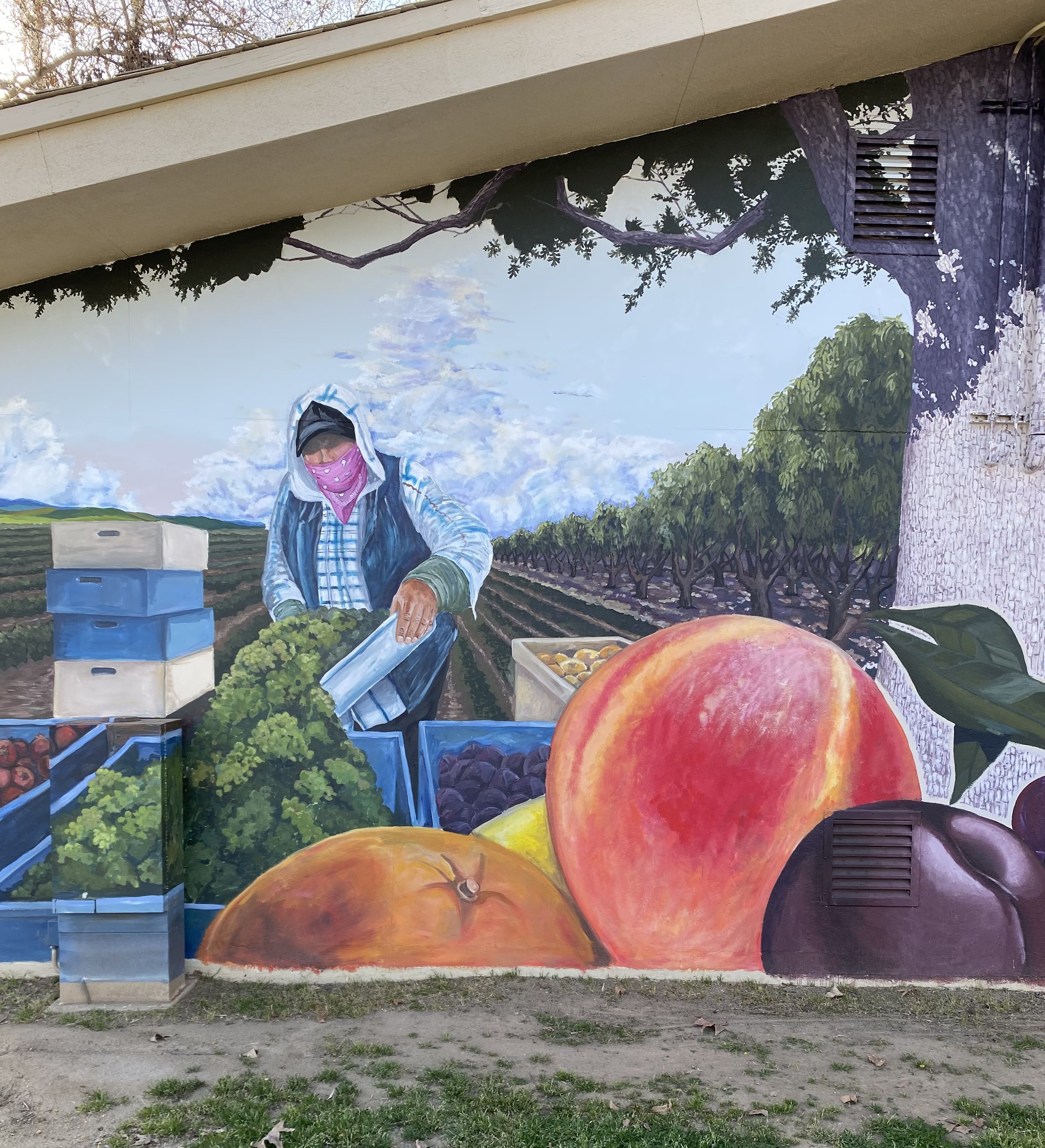 Mural at Fresno State University, completed as part of Public Art class, Fall 2021. 