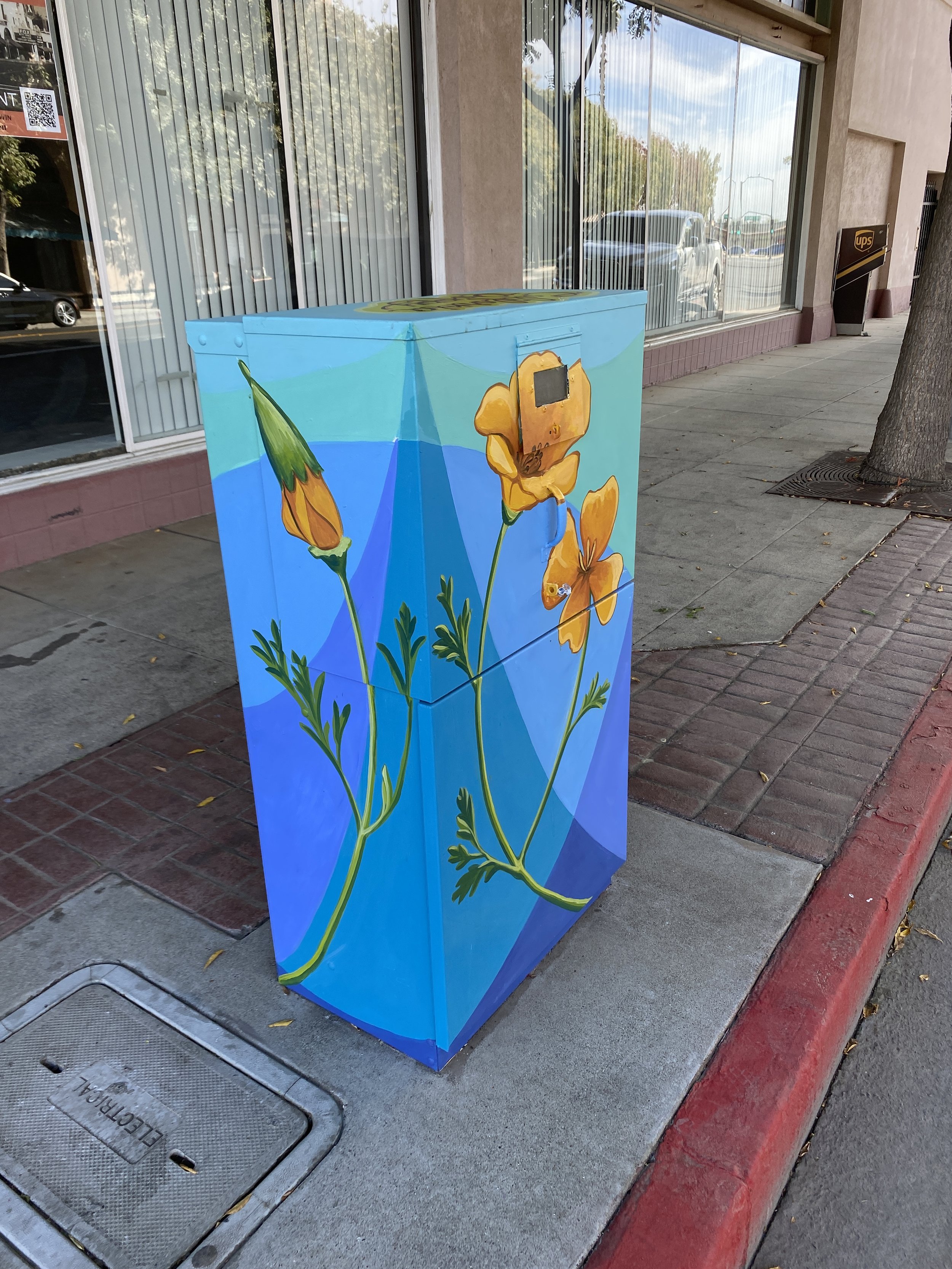 California Poppy Lifecycle electrical box in downtown Hanford, CA. 2022.