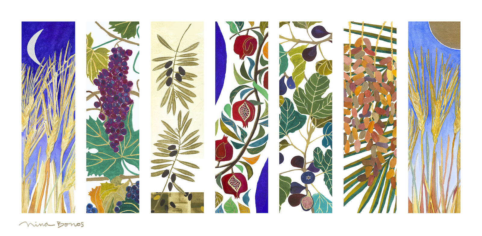 7 Sacred Species Window.jpg