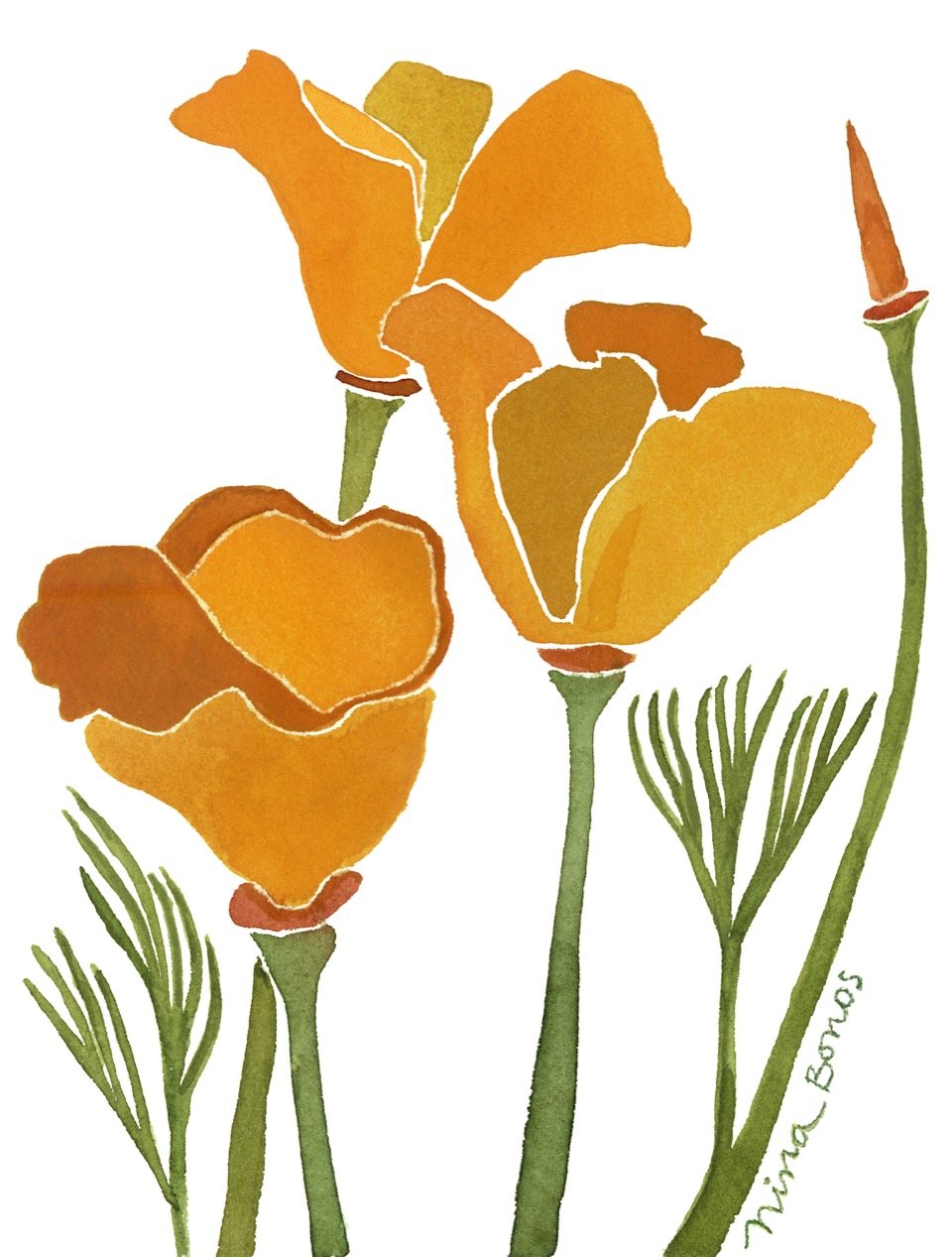 CA Poppies w:sig Award.jpeg