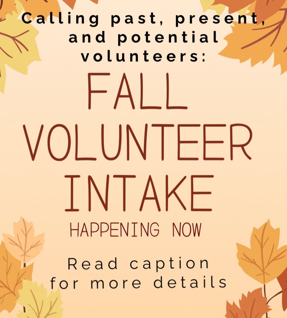 All folks who are interested in volunteering with RCF (commitment of 1 hour/week for 4 months) for our Fall intake (mid-September to mid-January), please read the below information!
....
Folks who have NOT filled out a volunteer application already:

