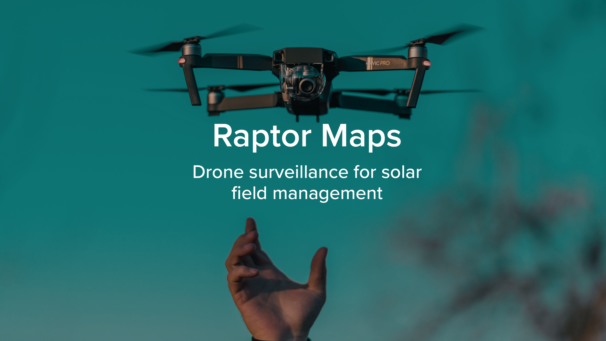 Raptor Maps