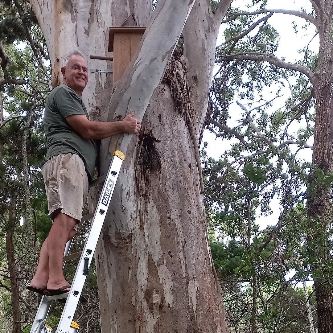 Parrot nesting box repaired in time for winter
