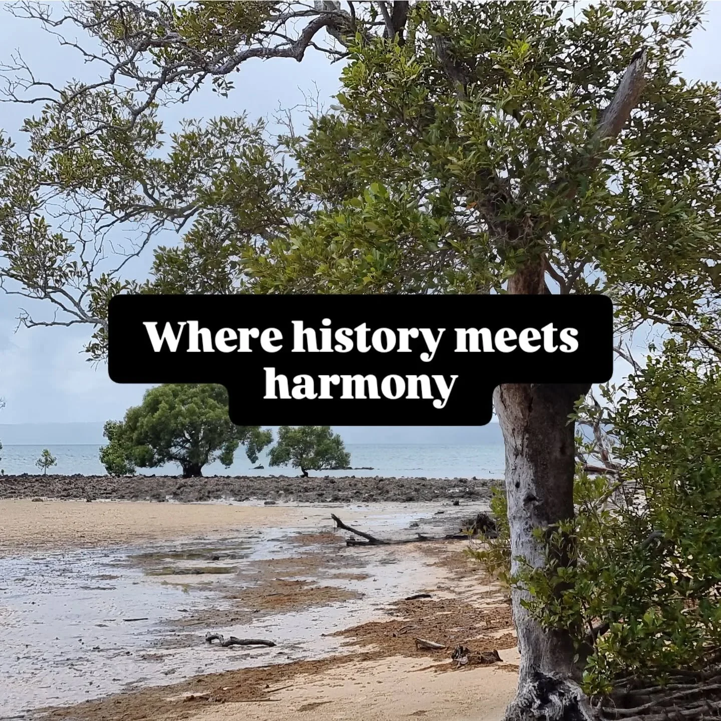 A delightful documentary about Coochiemudlo where I chat about Ted Jones and my latest book 'Coochiemudlo: A Mariner's Mystery ' https://baybeyond.com.au/projects/history-meets-harmony/