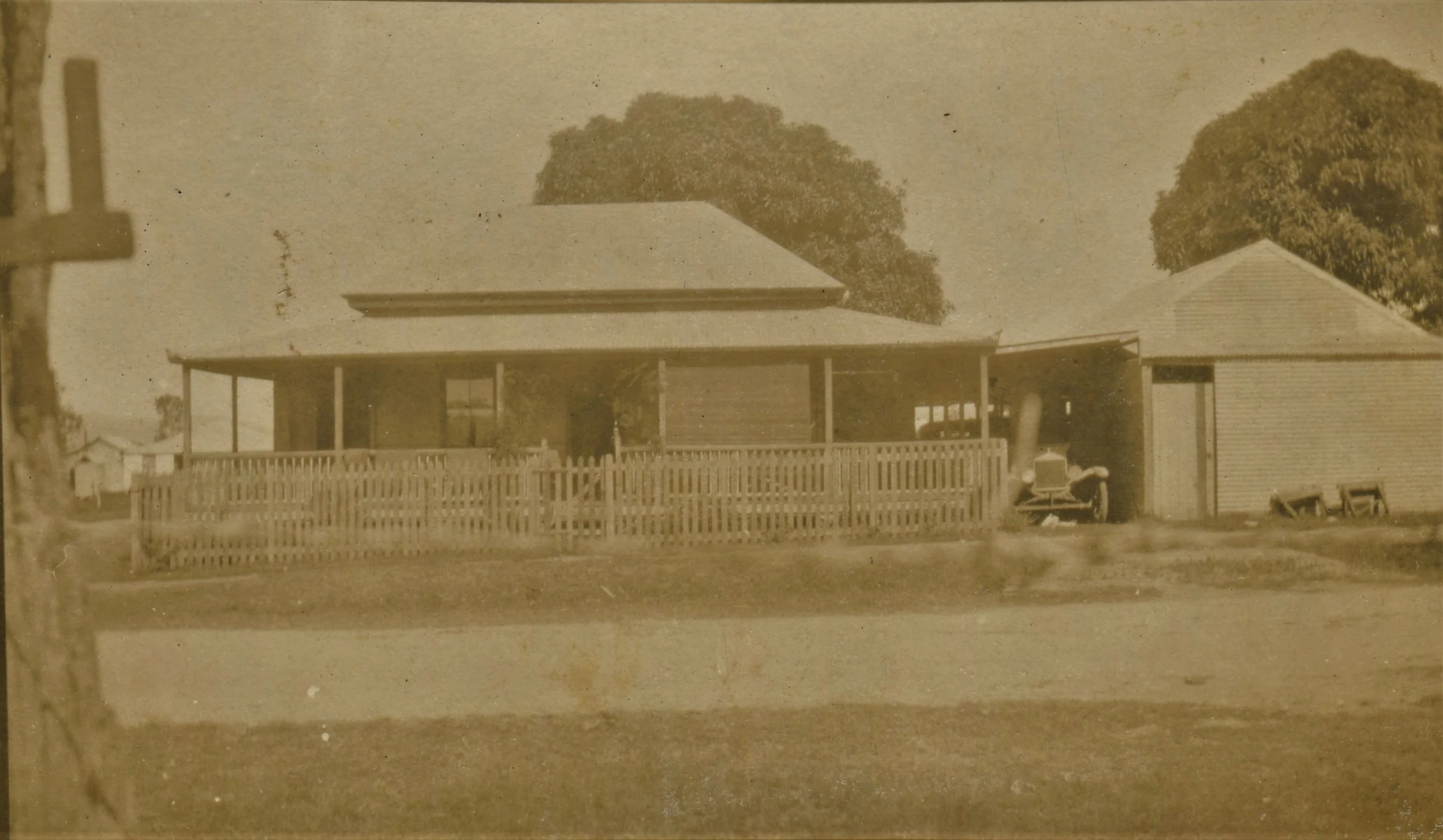 Mill St Proserpine Merle born.jpg