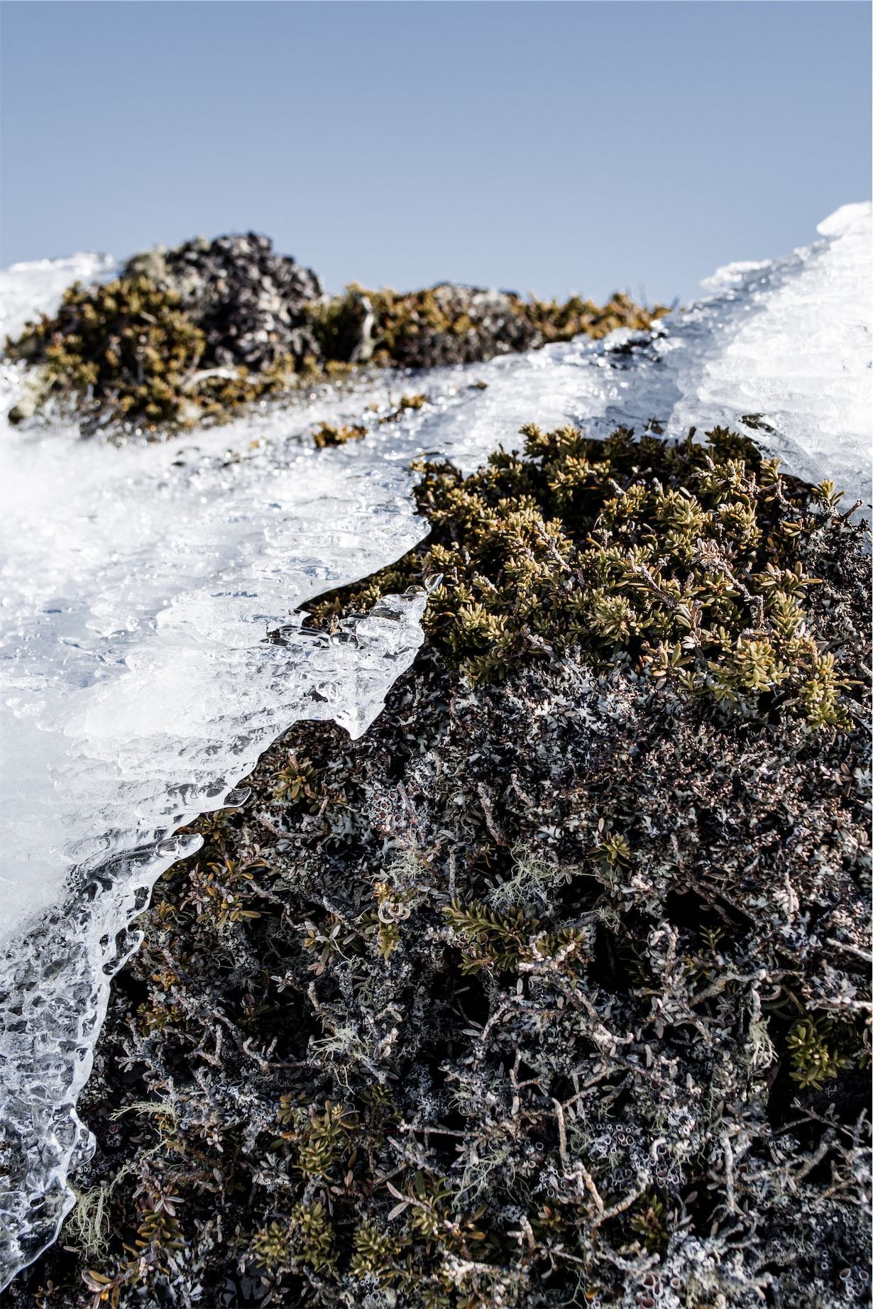 DSC_0575.jpg